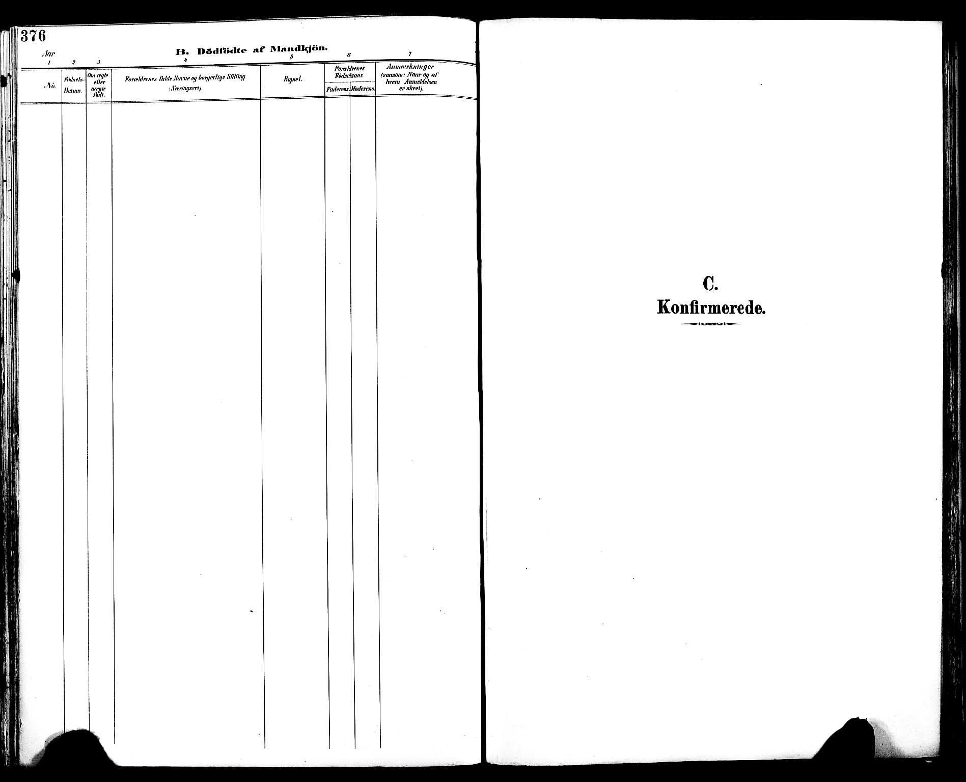 Ministerialprotokoller, klokkerbøker og fødselsregistre - Sør-Trøndelag, SAT/A-1456/604/L0197: Parish register (official) no. 604A18, 1893-1900, p. 376