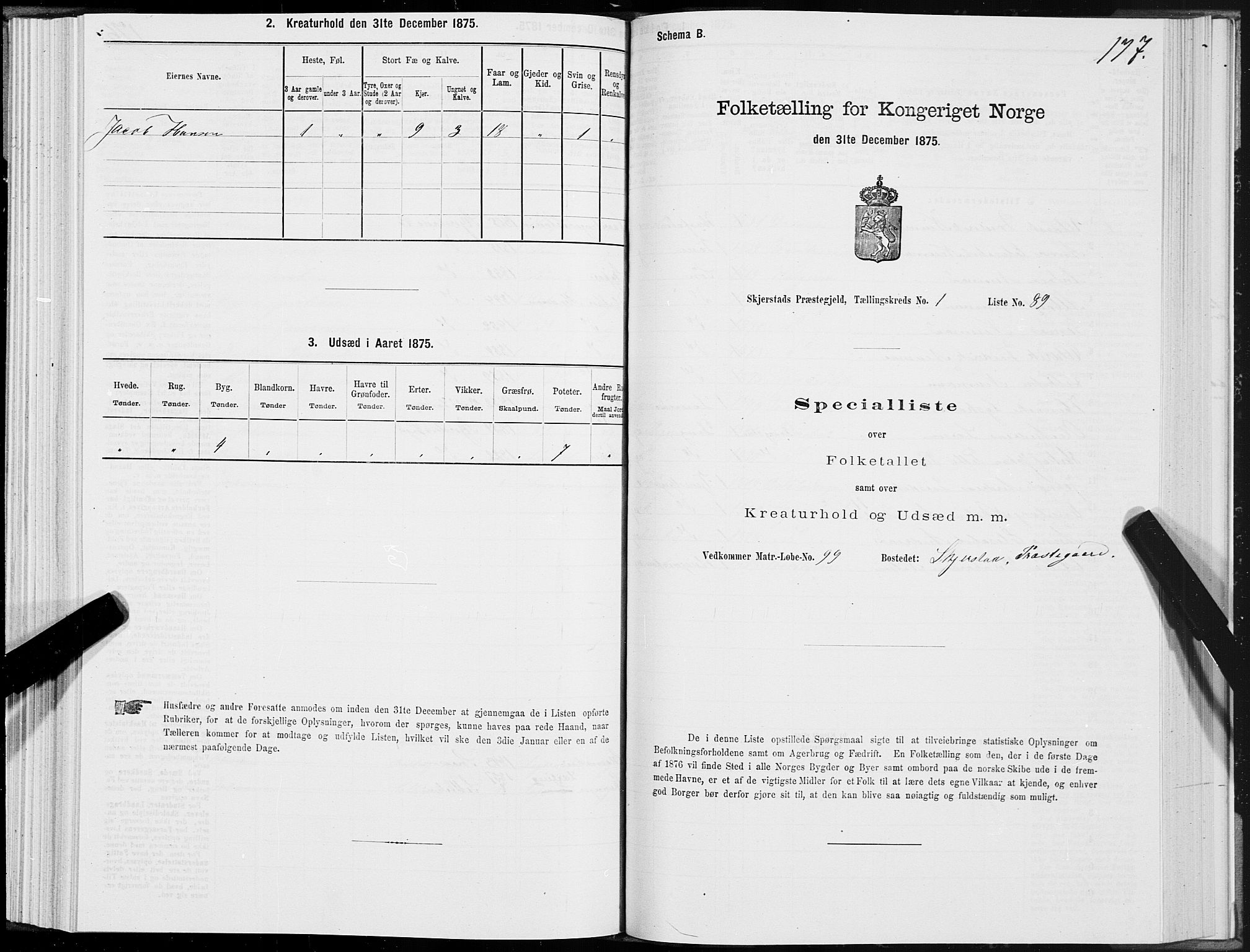 SAT, 1875 census for 1842P Skjerstad, 1875, p. 1177