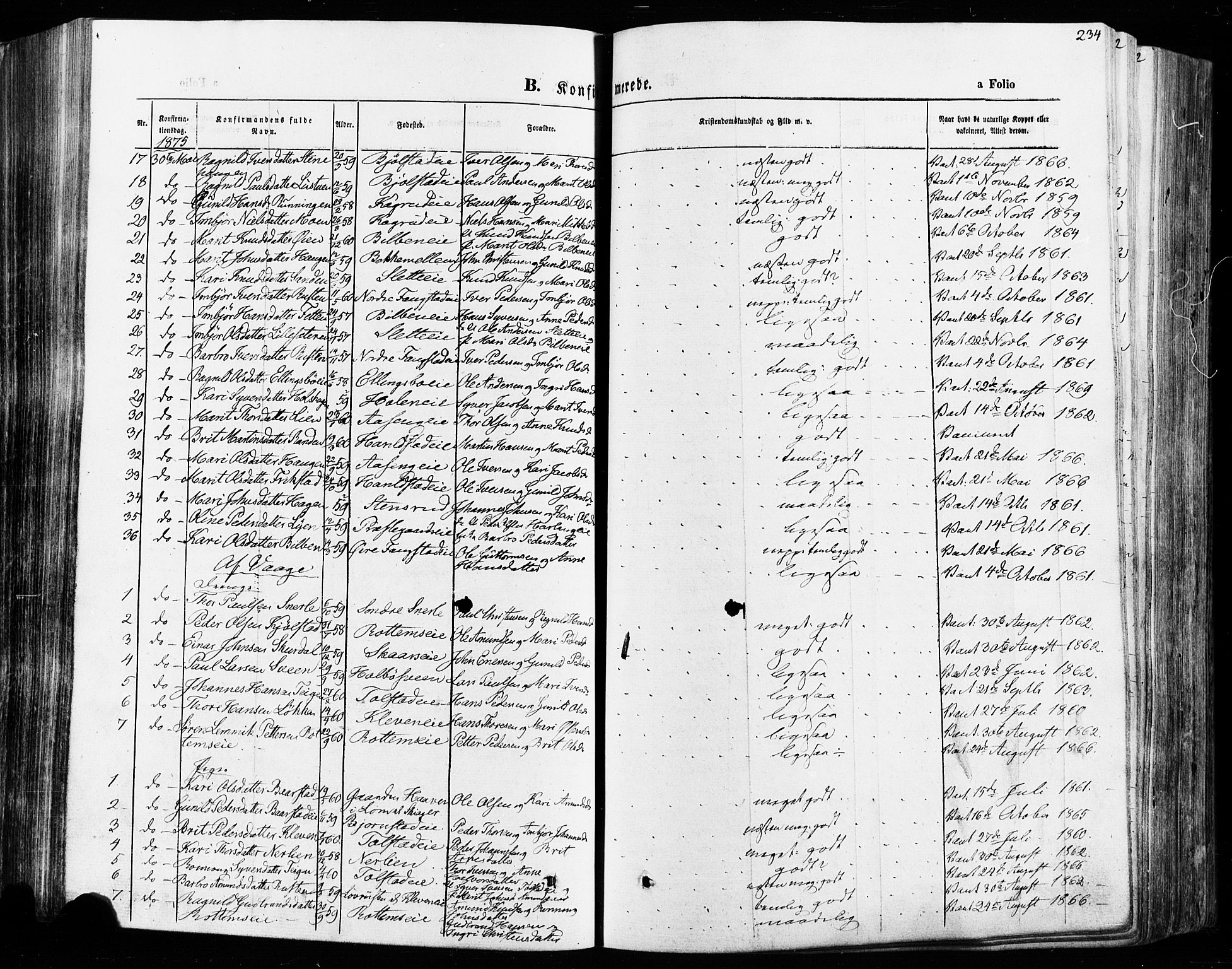 Vågå prestekontor, AV/SAH-PREST-076/H/Ha/Haa/L0007: Parish register (official) no. 7 /1, 1872-1886, p. 234