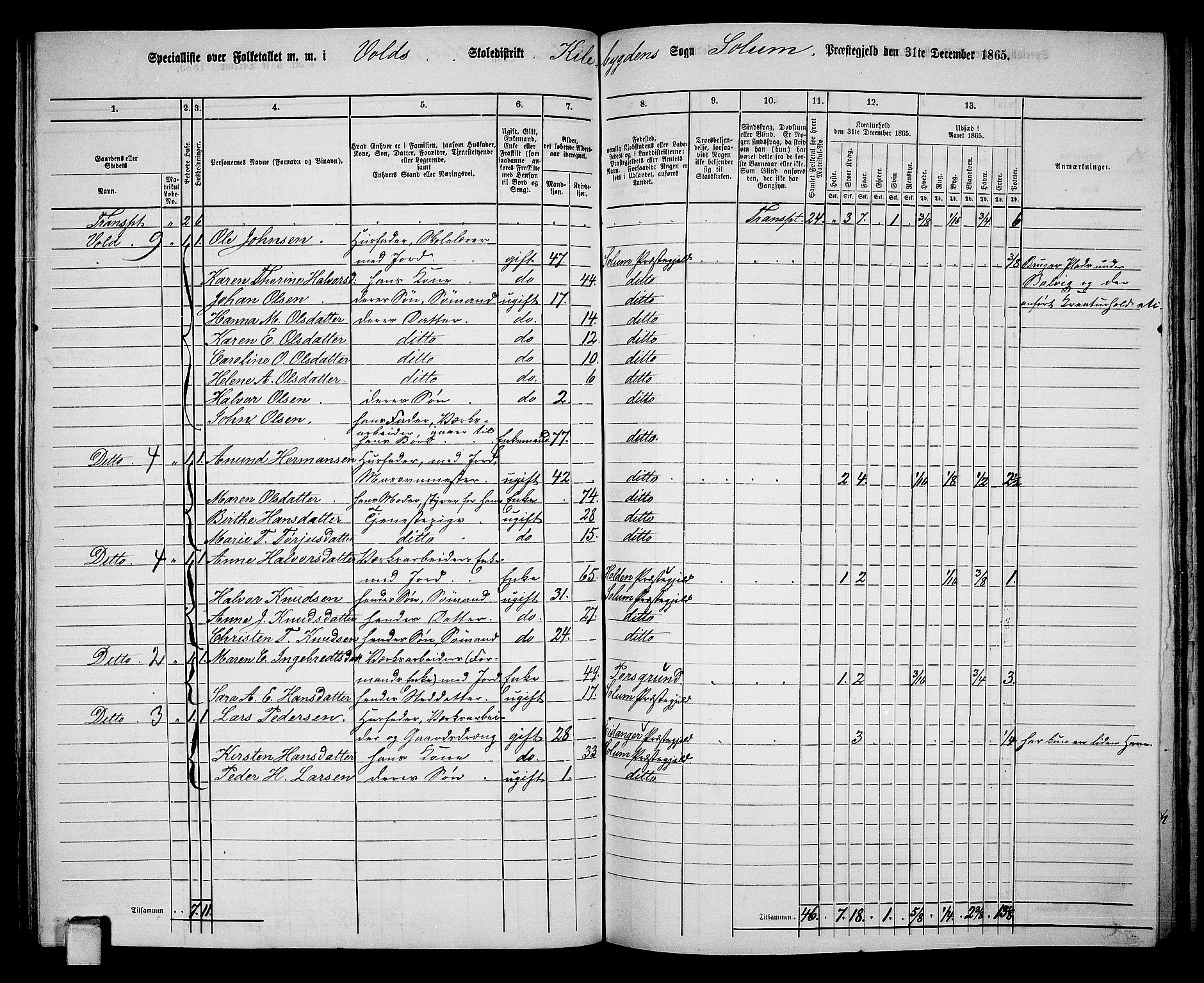 RA, 1865 census for Solum, 1865, p. 134