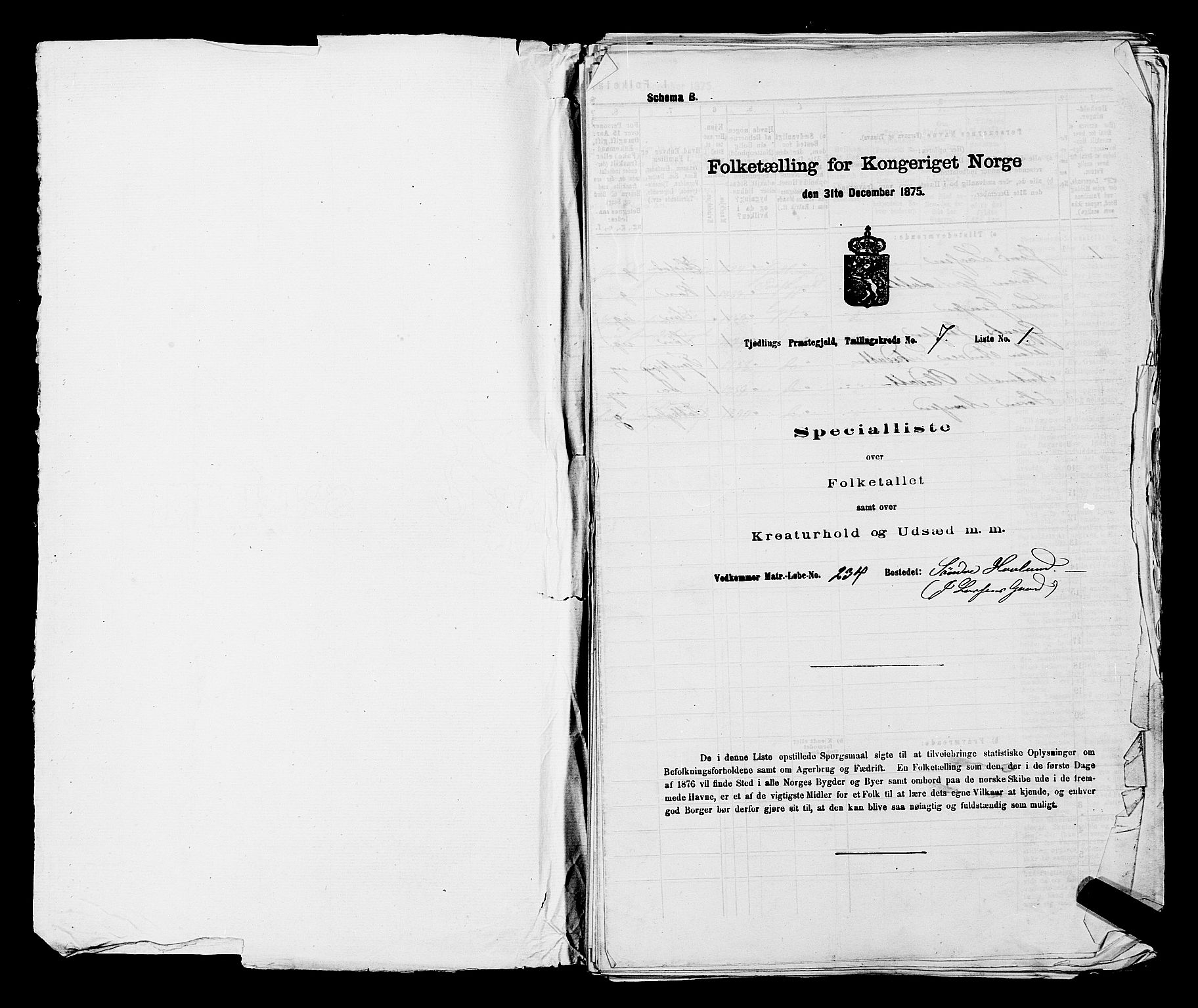 SAKO, 1875 census for 0725P Tjølling, 1875, p. 1243