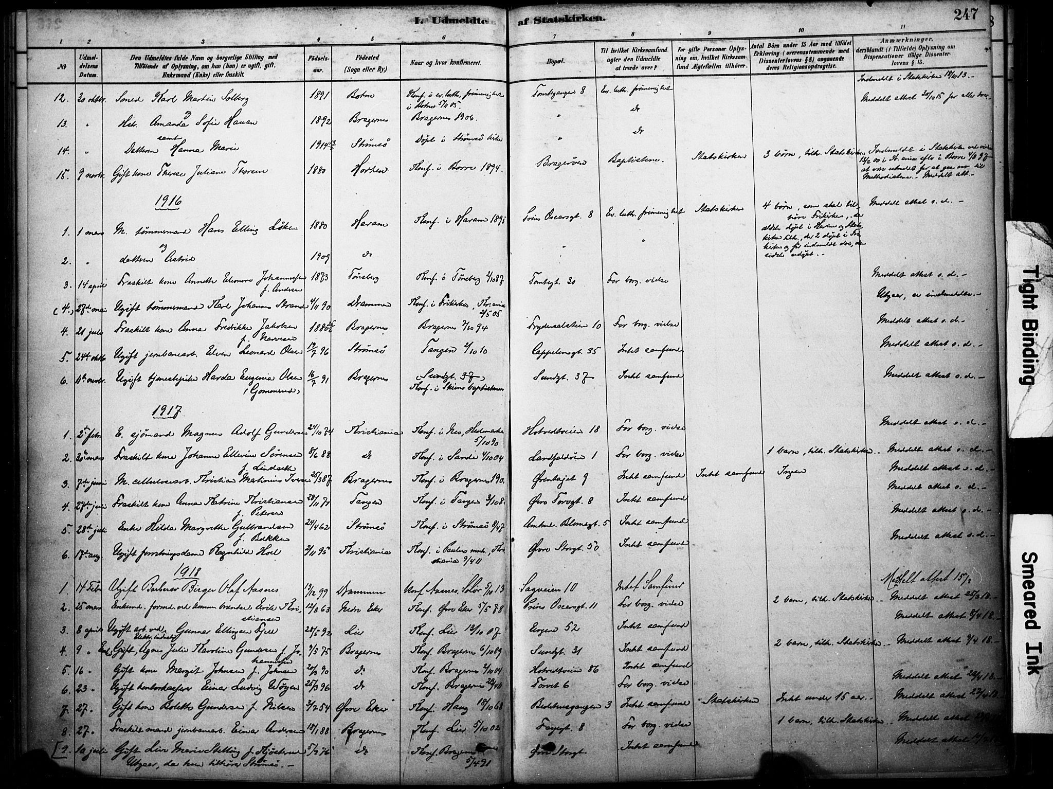 Bragernes kirkebøker, SAKO/A-6/F/Fc/L0005: Parish register (official) no. III 5, 1878-1890, p. 247