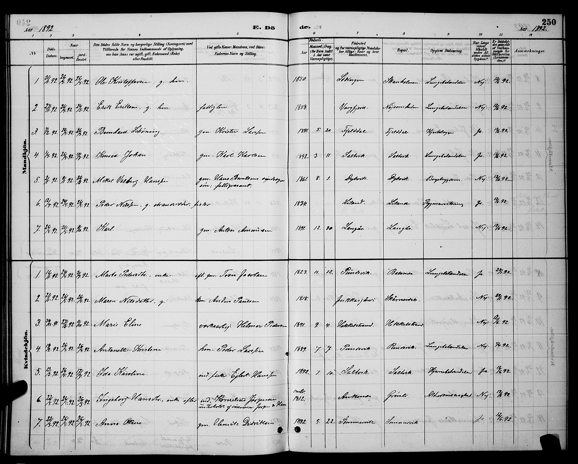 Ministerialprotokoller, klokkerbøker og fødselsregistre - Nordland, SAT/A-1459/863/L0914: Parish register (copy) no. 863C04, 1886-1897, p. 250