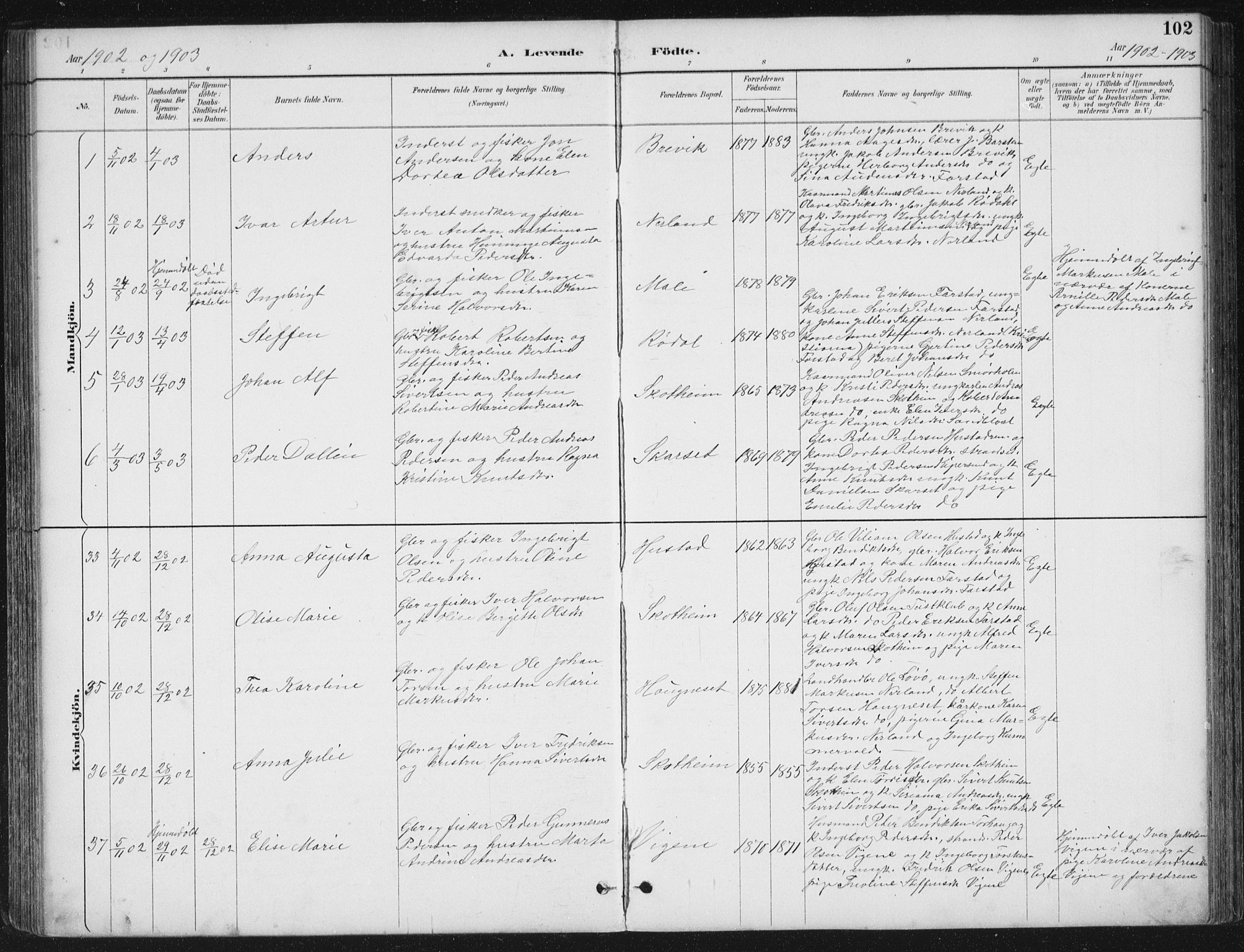 Ministerialprotokoller, klokkerbøker og fødselsregistre - Møre og Romsdal, AV/SAT-A-1454/567/L0783: Parish register (copy) no. 567C03, 1887-1903, p. 102