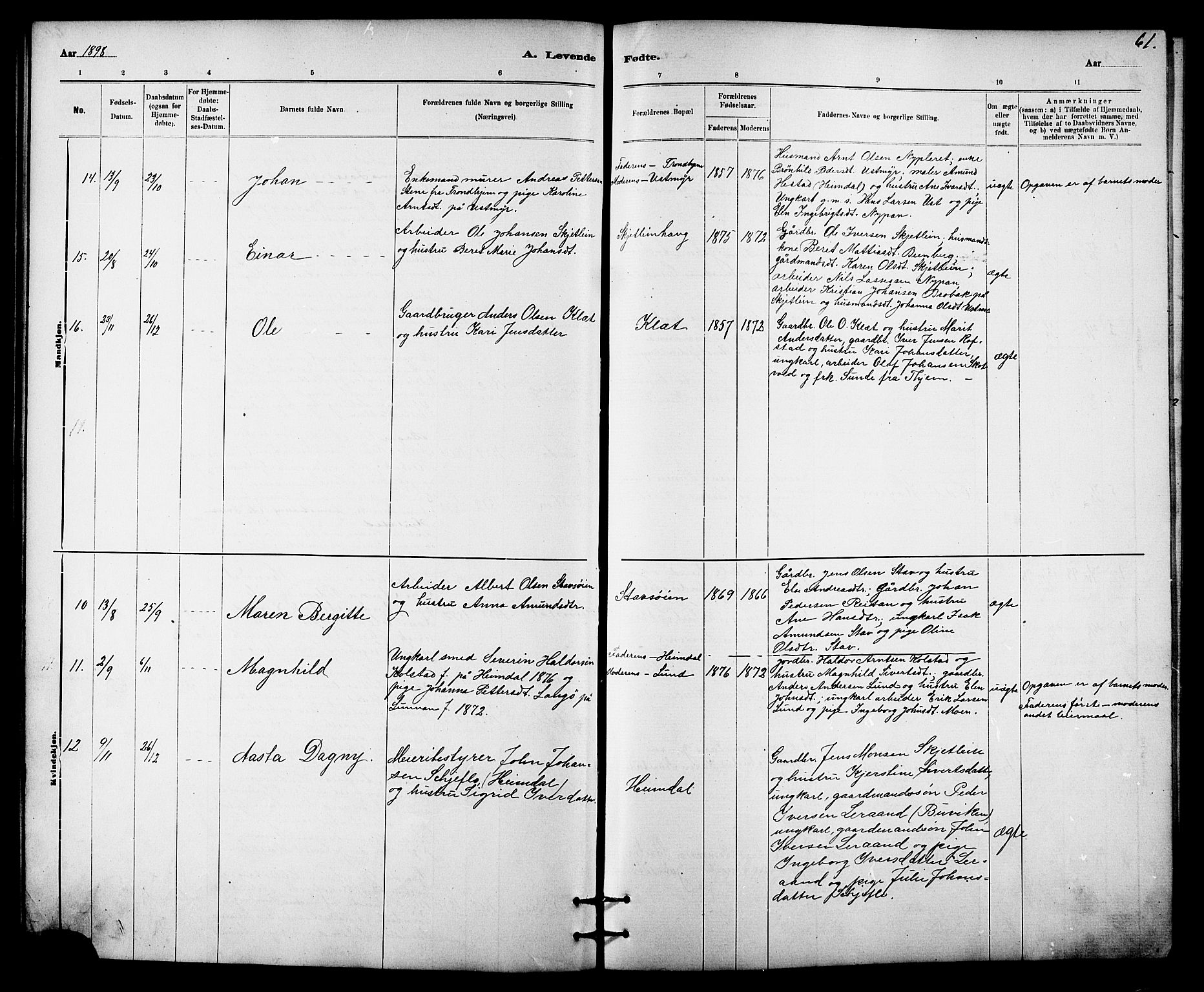 Ministerialprotokoller, klokkerbøker og fødselsregistre - Sør-Trøndelag, SAT/A-1456/613/L0395: Parish register (copy) no. 613C03, 1887-1909, p. 61