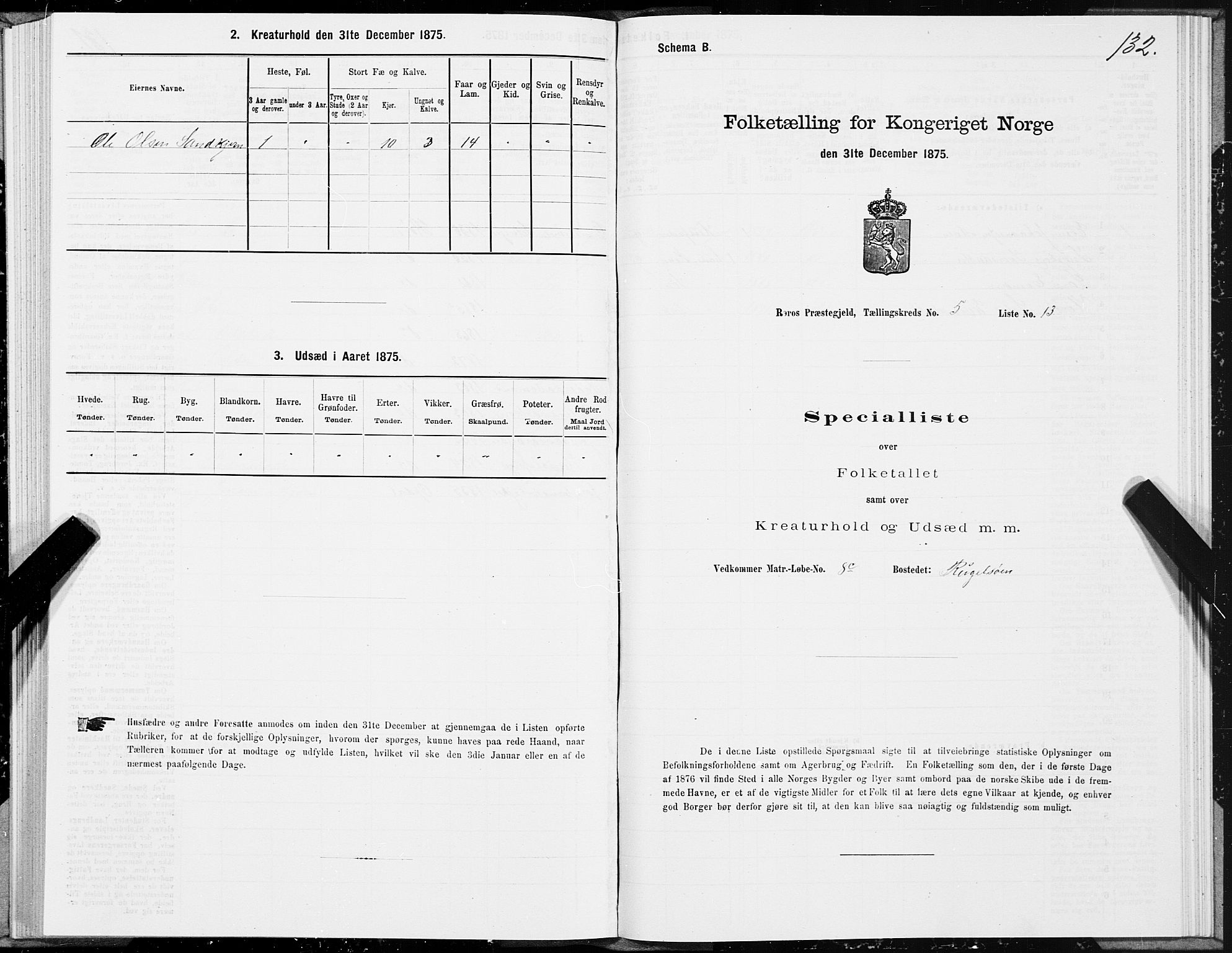 SAT, 1875 census for 1640P Røros, 1875, p. 3132