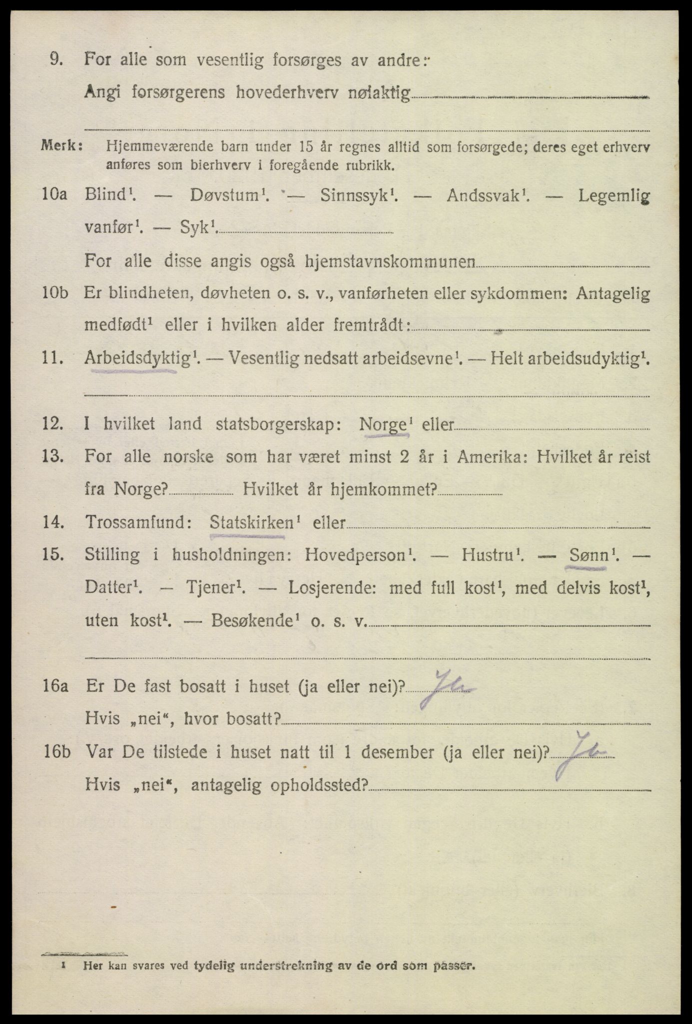 SAK, 1920 census for Hornnes, 1920, p. 2528