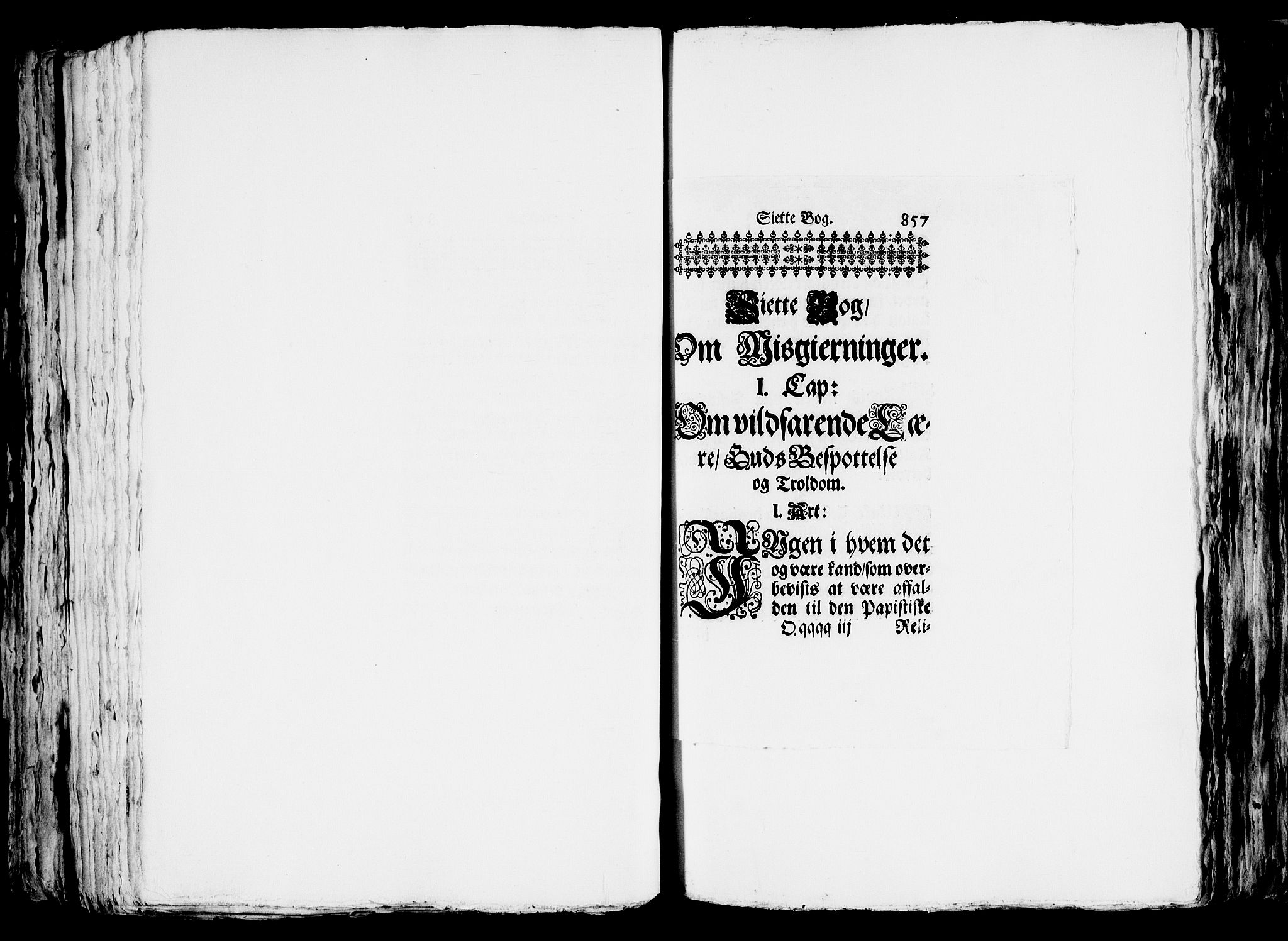 Danske Kanselli, Skapsaker, AV/RA-EA-4061/G/L0010: Tillegg til skapsakene, 1666-1688, p. 294