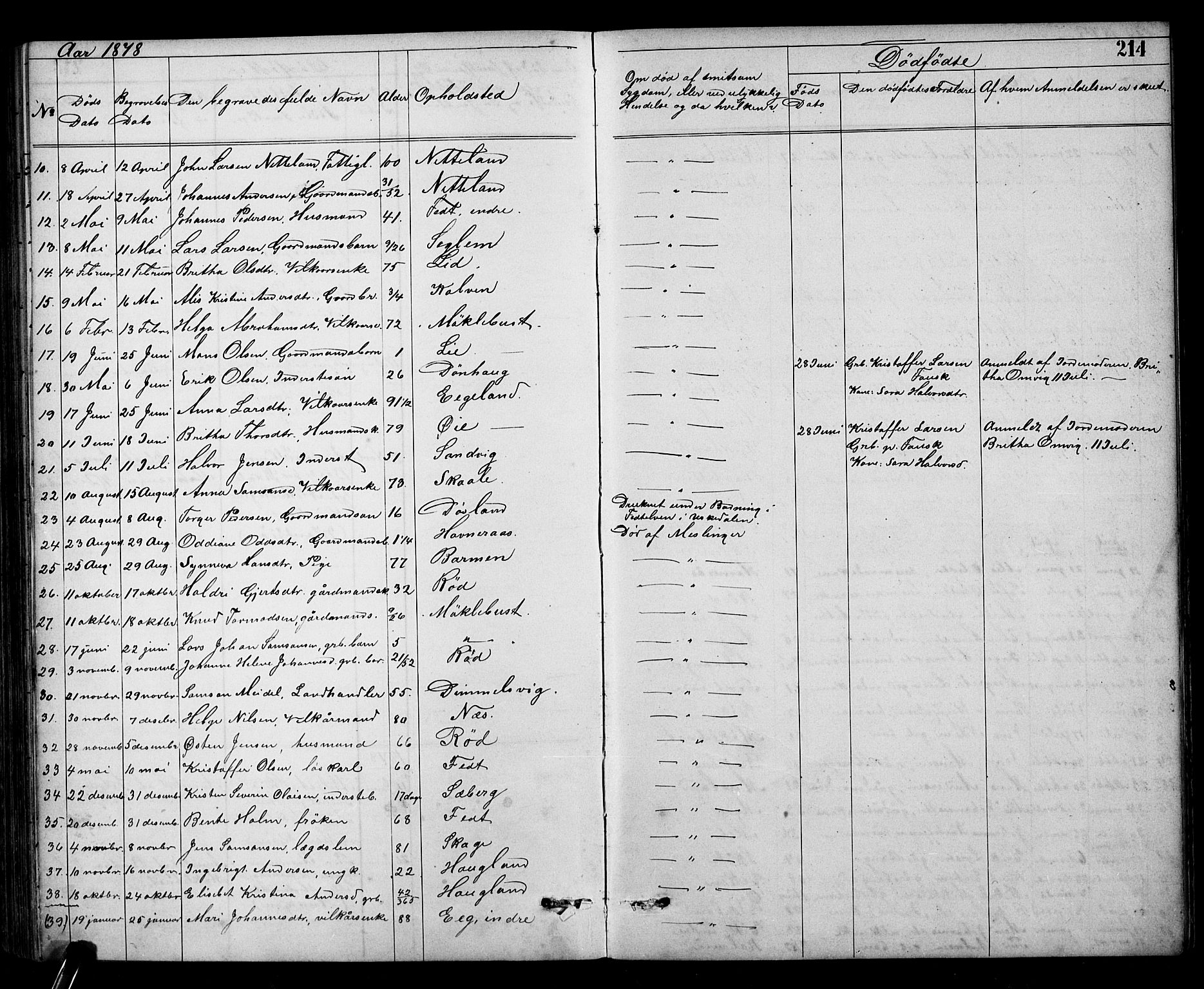 Kvinnherad sokneprestembete, SAB/A-76401/H/Hab: Parish register (copy) no. A 2, 1873-1900, p. 214