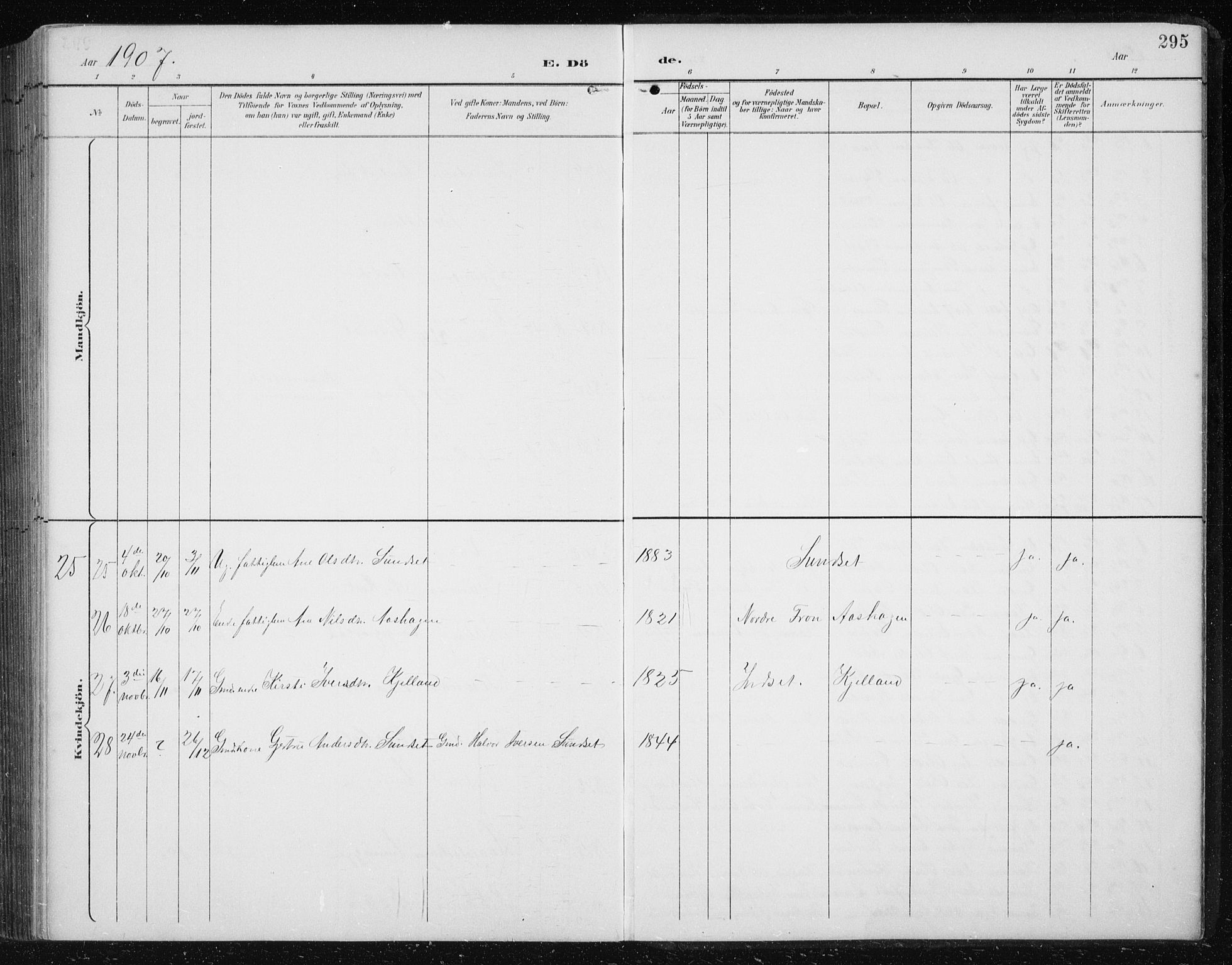 Ministerialprotokoller, klokkerbøker og fødselsregistre - Sør-Trøndelag, AV/SAT-A-1456/674/L0876: Parish register (copy) no. 674C03, 1892-1912, p. 295