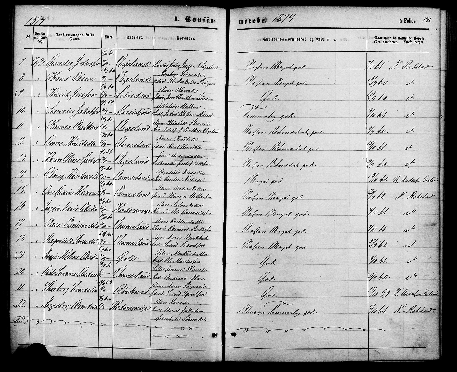 Vennesla sokneprestkontor, AV/SAK-1111-0045/Fa/Fac/L0008: Parish register (official) no. A 8, 1874-1883, p. 131