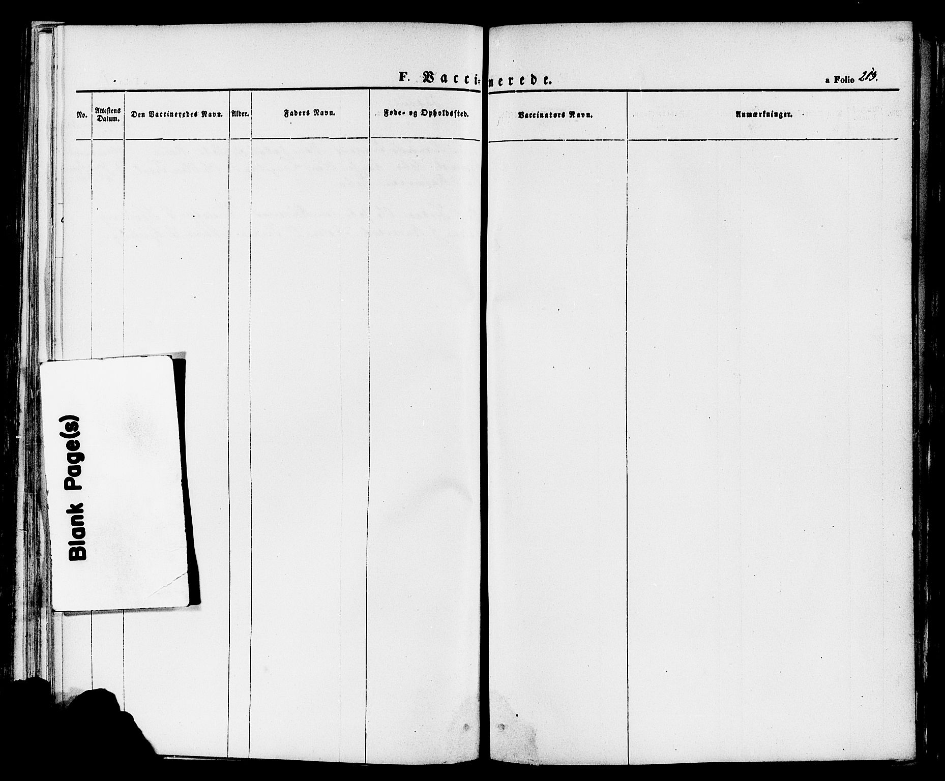 Finnøy sokneprestkontor, AV/SAST-A-101825/H/Ha/Haa/L0008: Parish register (official) no. A 8, 1863-1878, p. 213