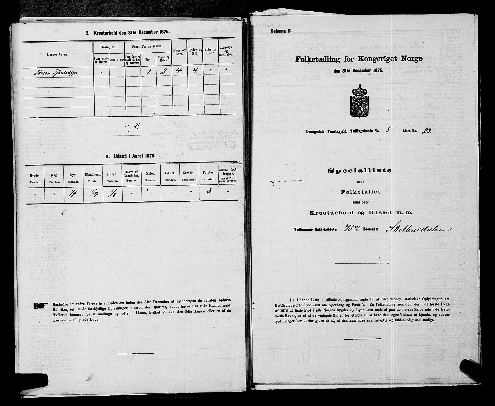 SAKO, 1875 census for 0817P Drangedal, 1875, p. 529