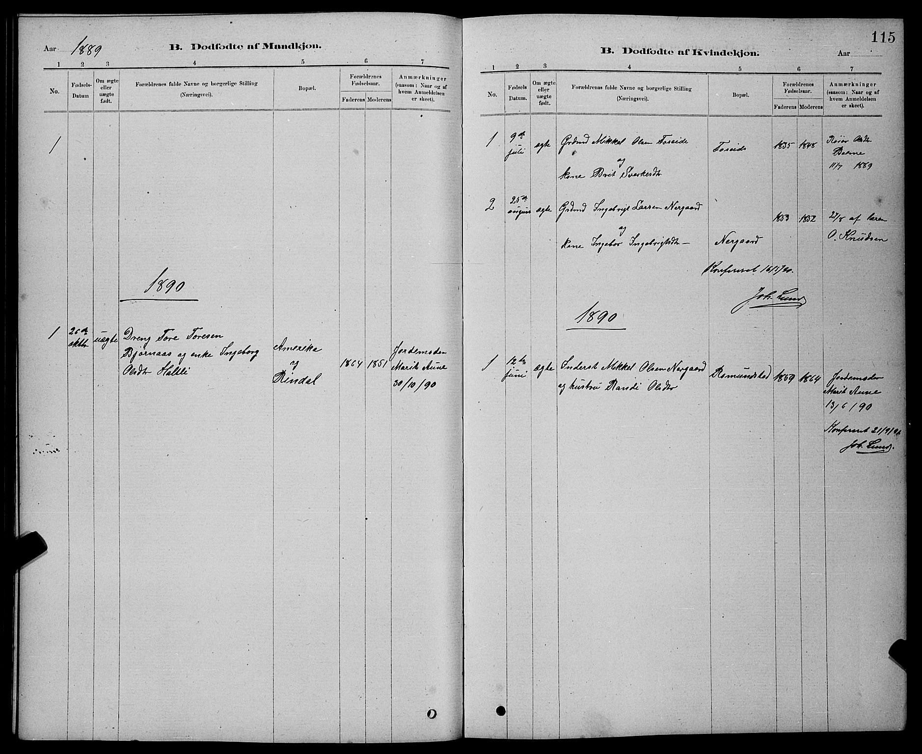 Ministerialprotokoller, klokkerbøker og fødselsregistre - Møre og Romsdal, AV/SAT-A-1454/598/L1077: Parish register (copy) no. 598C02, 1879-1891, p. 115