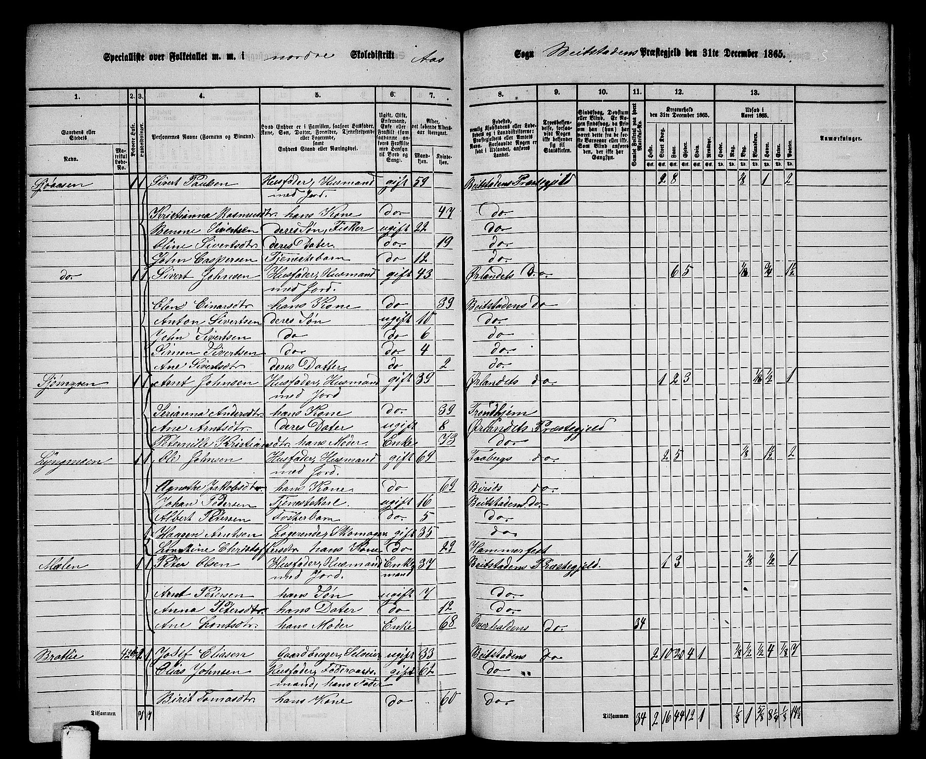 RA, 1865 census for Beitstad, 1865, p. 180