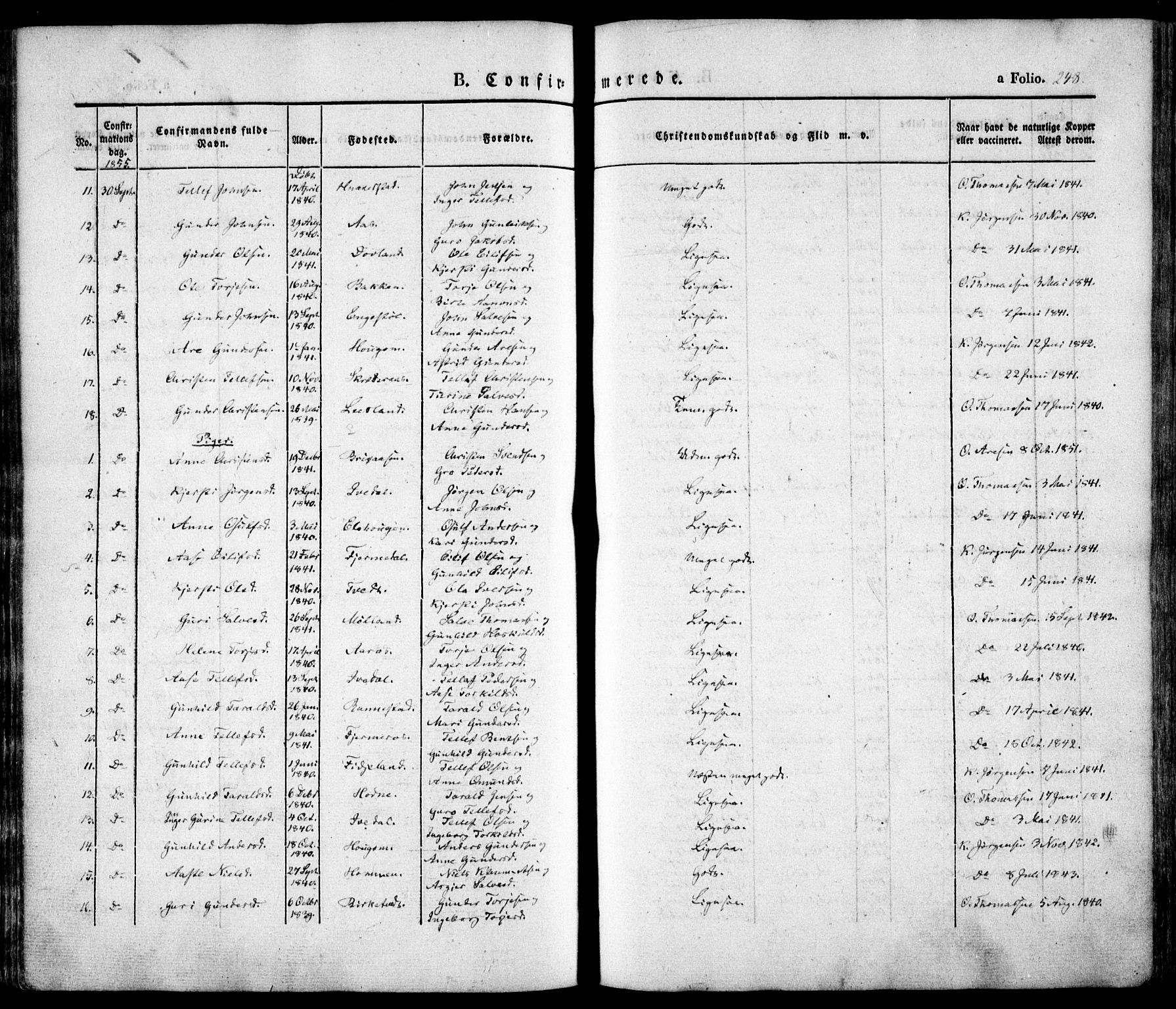 Evje sokneprestkontor, AV/SAK-1111-0008/F/Fa/Faa/L0005: Parish register (official) no. A 5, 1843-1865, p. 248