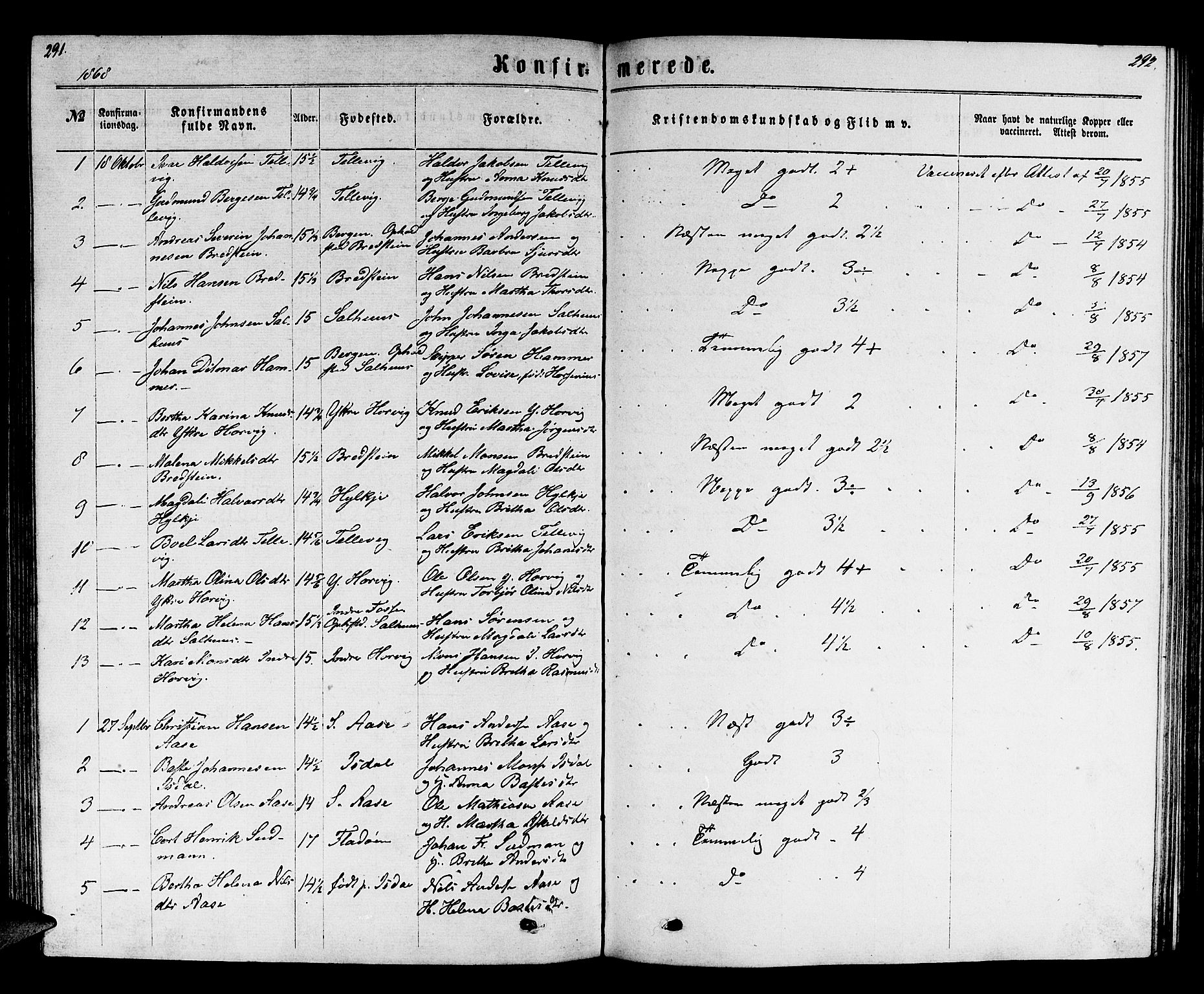 Hamre sokneprestembete, SAB/A-75501/H/Ha/Hab: Parish register (copy) no. B 2, 1863-1880, p. 291-292