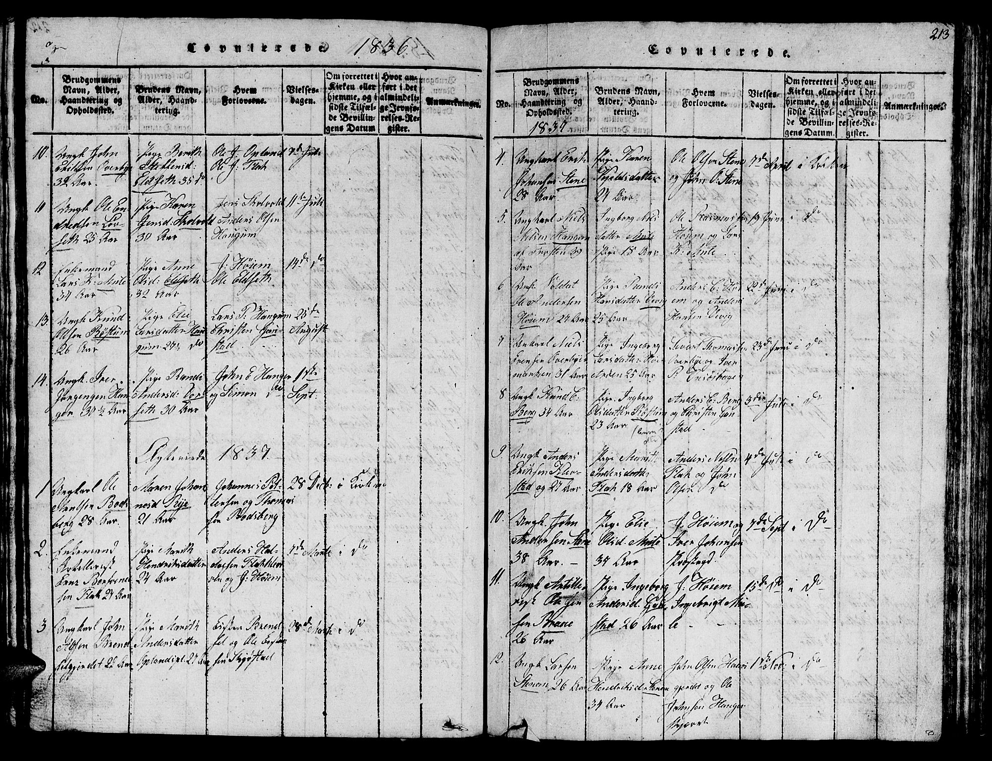 Ministerialprotokoller, klokkerbøker og fødselsregistre - Sør-Trøndelag, SAT/A-1456/612/L0385: Parish register (copy) no. 612C01, 1816-1845, p. 213