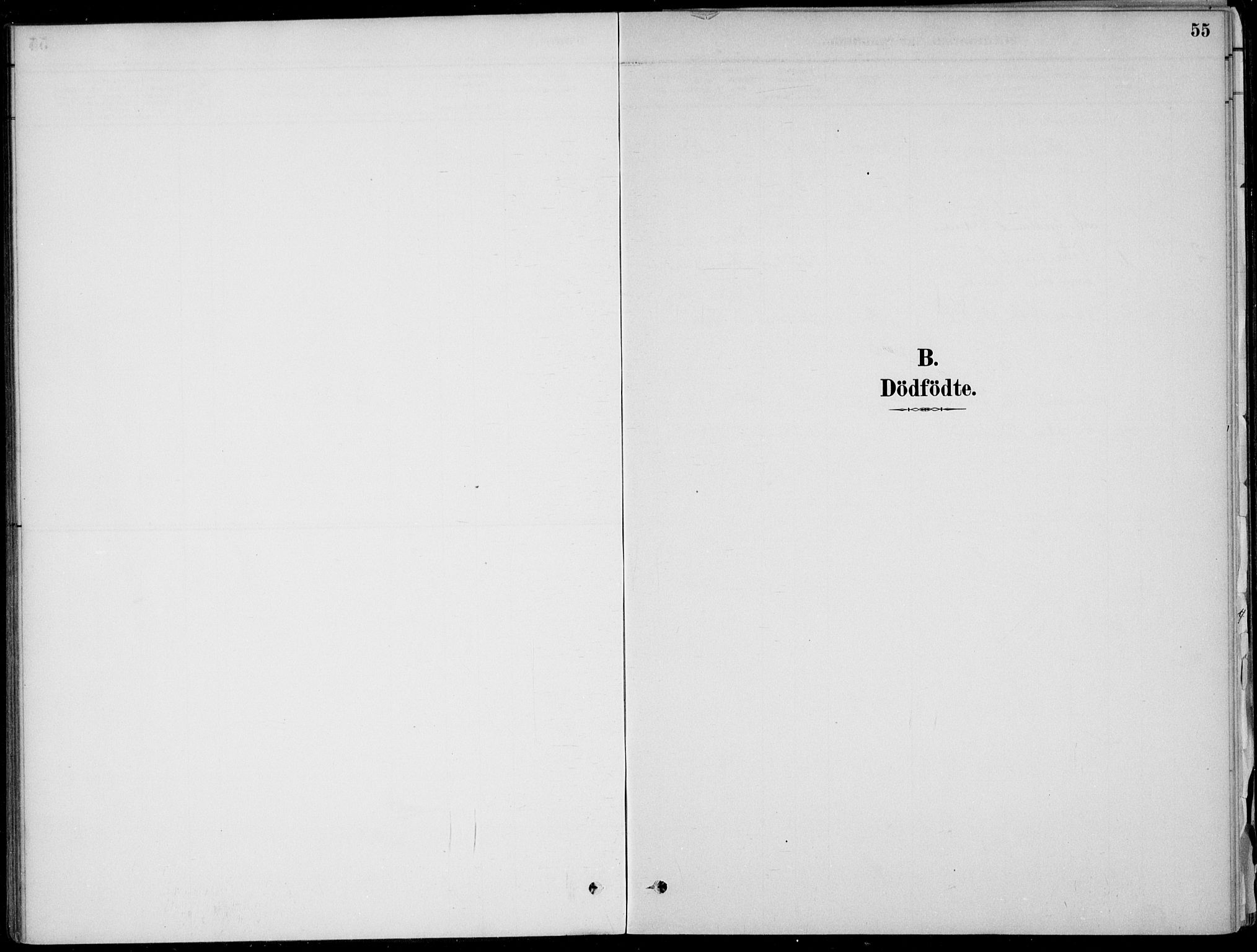 Ådal kirkebøker, AV/SAKO-A-248/F/Fa/L0003: Parish register (official) no. I 3, 1884-1903, p. 55