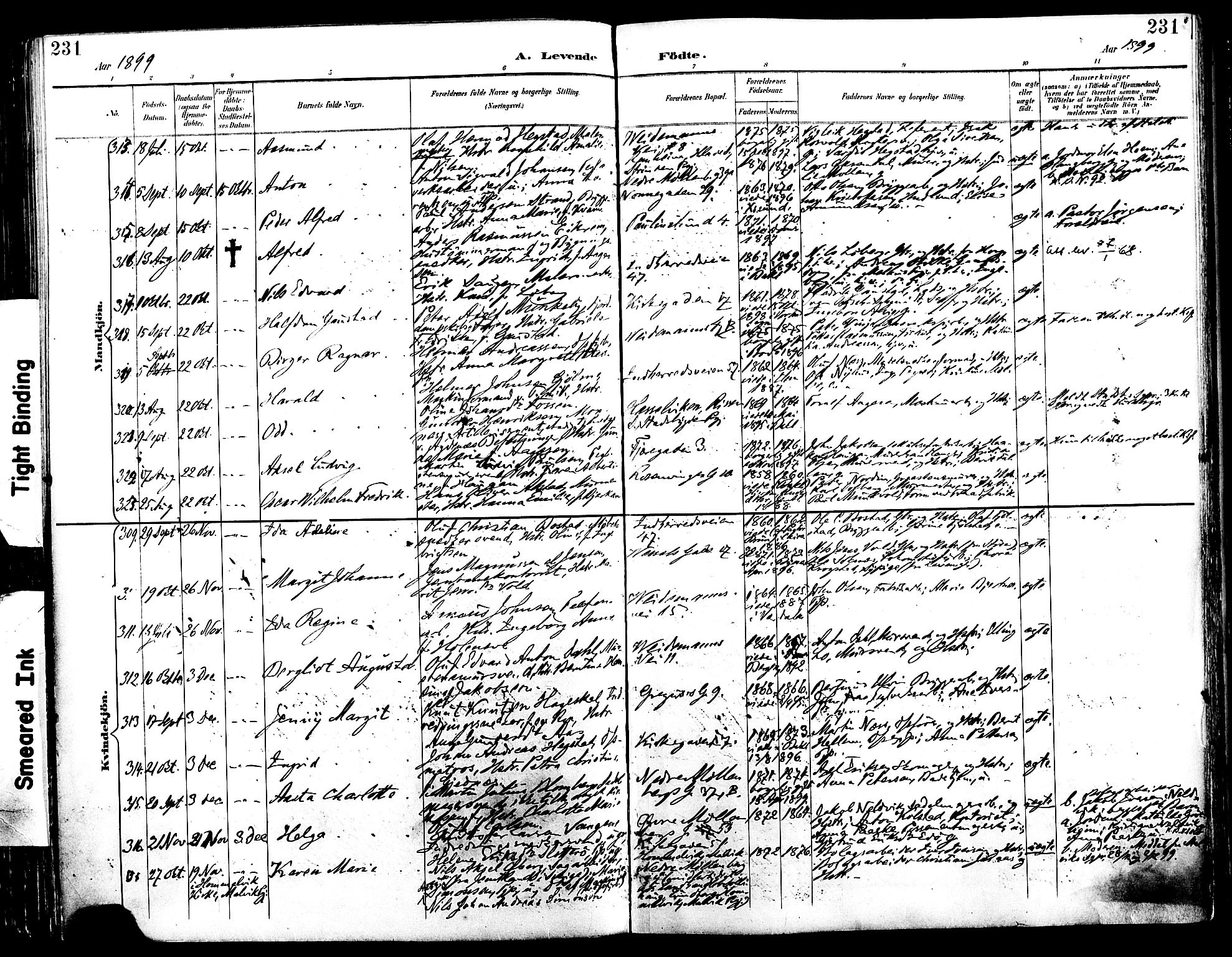 Ministerialprotokoller, klokkerbøker og fødselsregistre - Sør-Trøndelag, AV/SAT-A-1456/604/L0197: Parish register (official) no. 604A18, 1893-1900, p. 231