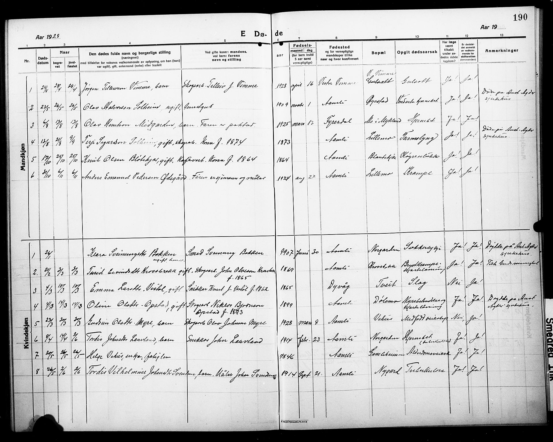 Åmli sokneprestkontor, AV/SAK-1111-0050/F/Fb/Fbc/L0006: Parish register (copy) no. B 6, 1915-1929, p. 190