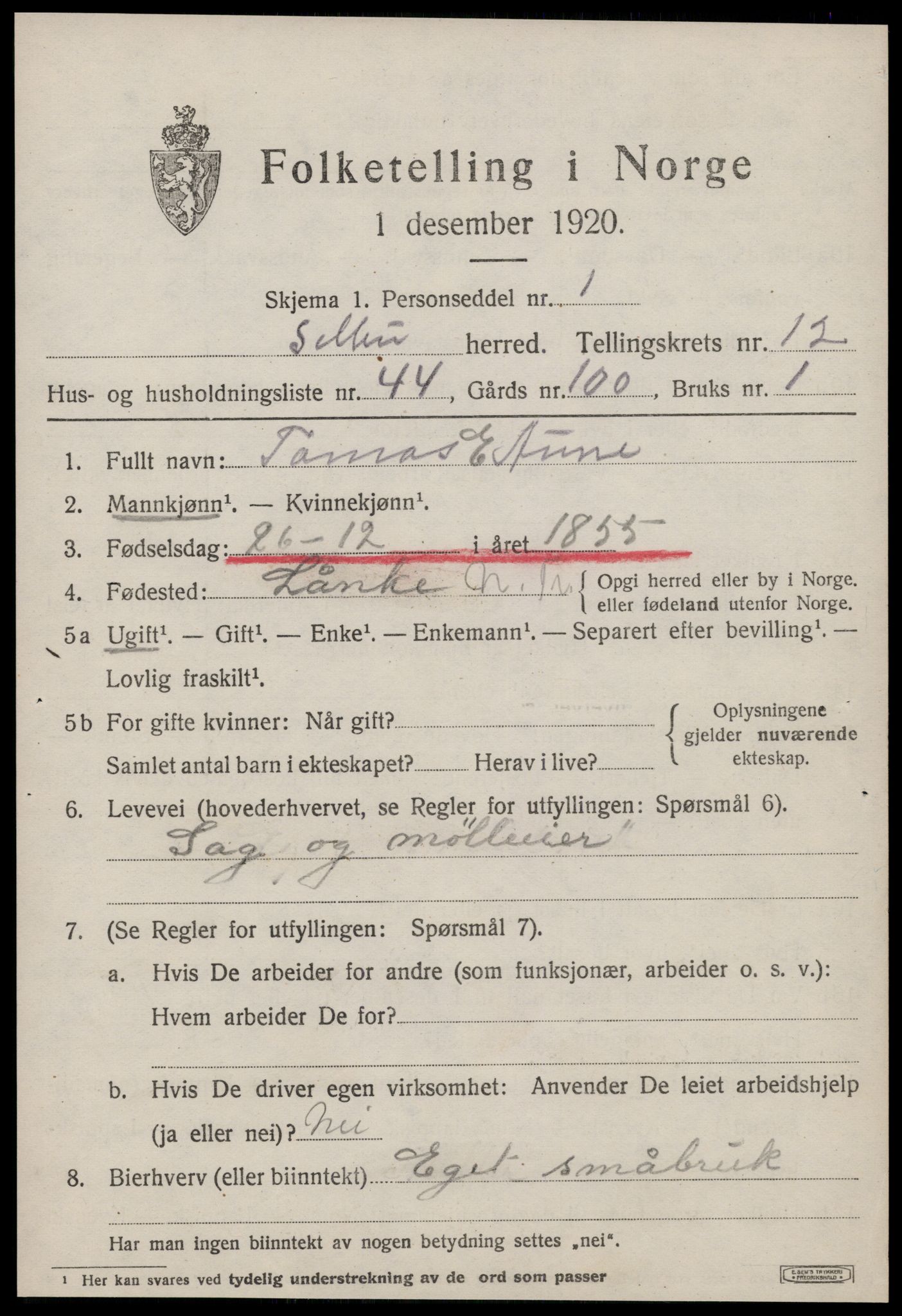 SAT, 1920 census for Selbu, 1920, p. 7000