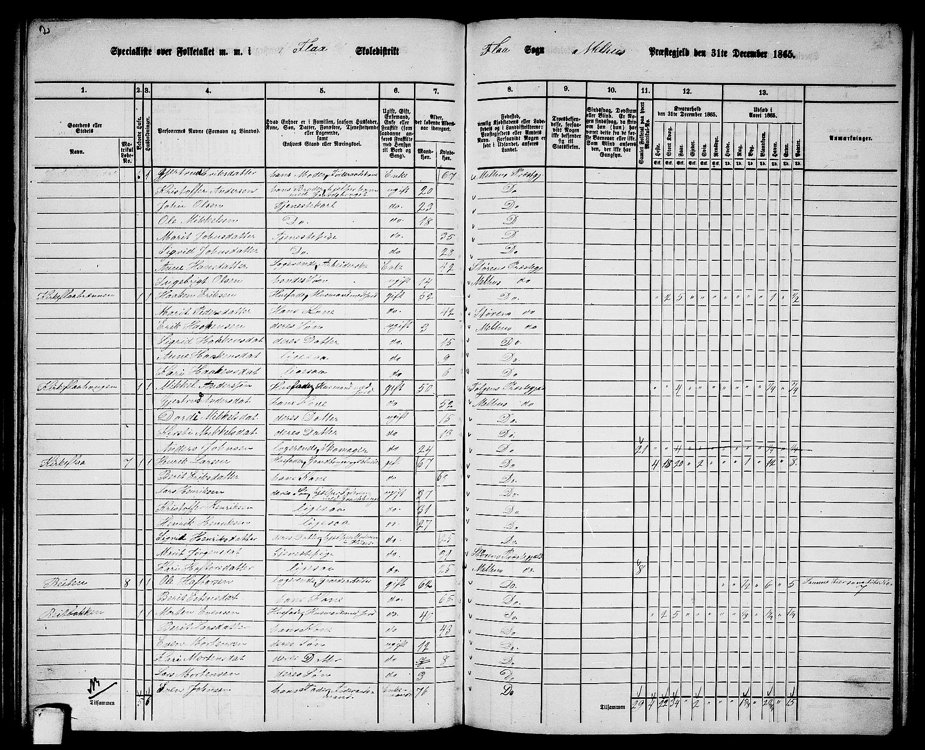 RA, 1865 census for Melhus, 1865, p. 133