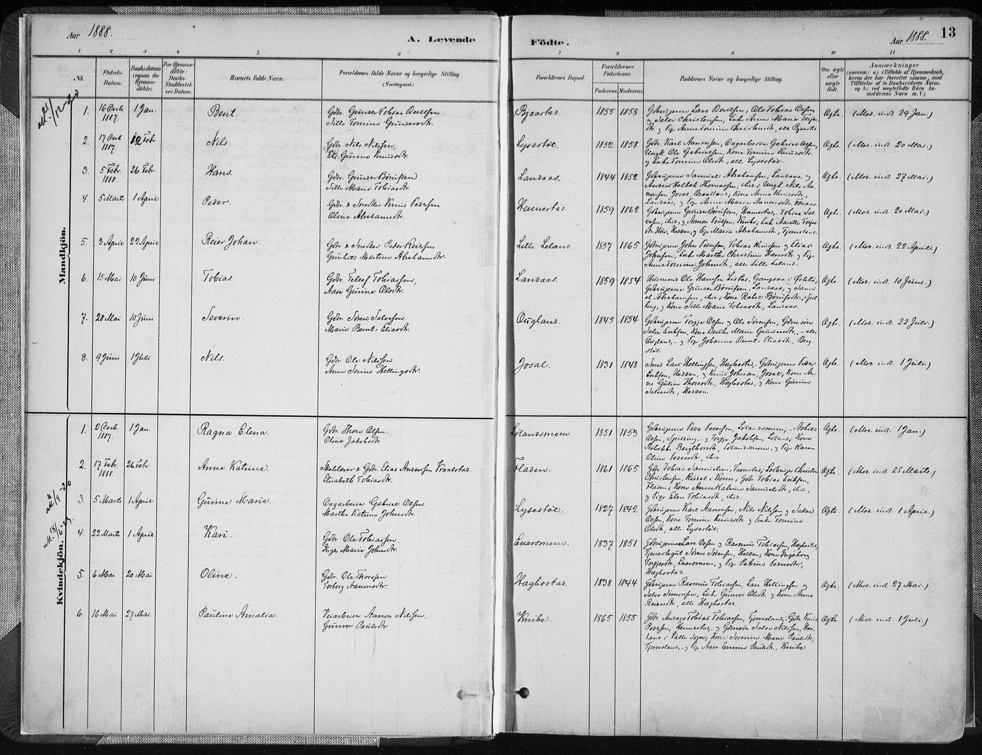 Nord-Audnedal sokneprestkontor, SAK/1111-0032/F/Fa/Fab/L0003: Parish register (official) no. A 3, 1882-1900, p. 13