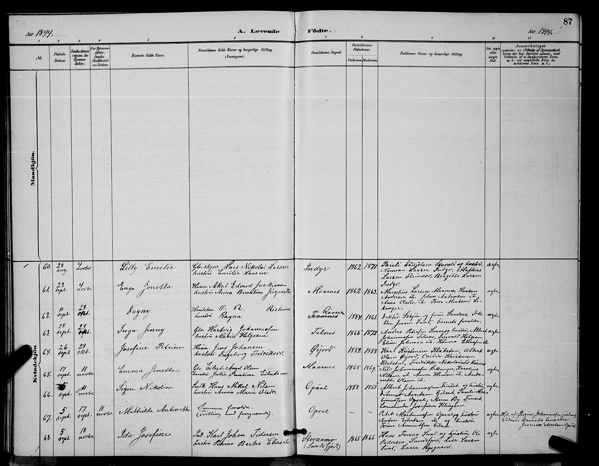 Ministerialprotokoller, klokkerbøker og fødselsregistre - Nordland, AV/SAT-A-1459/805/L0108: Parish register (copy) no. 805C04, 1885-1899, p. 87