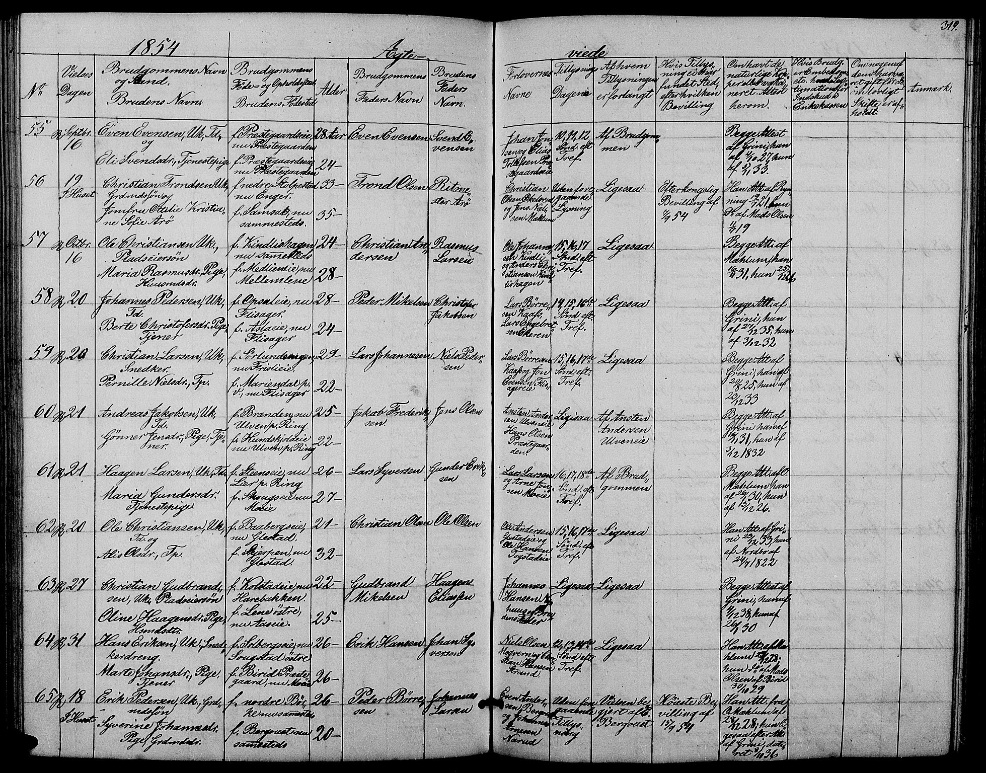 Ringsaker prestekontor, AV/SAH-PREST-014/L/La/L0006: Parish register (copy) no. 6, 1851-1860, p. 319