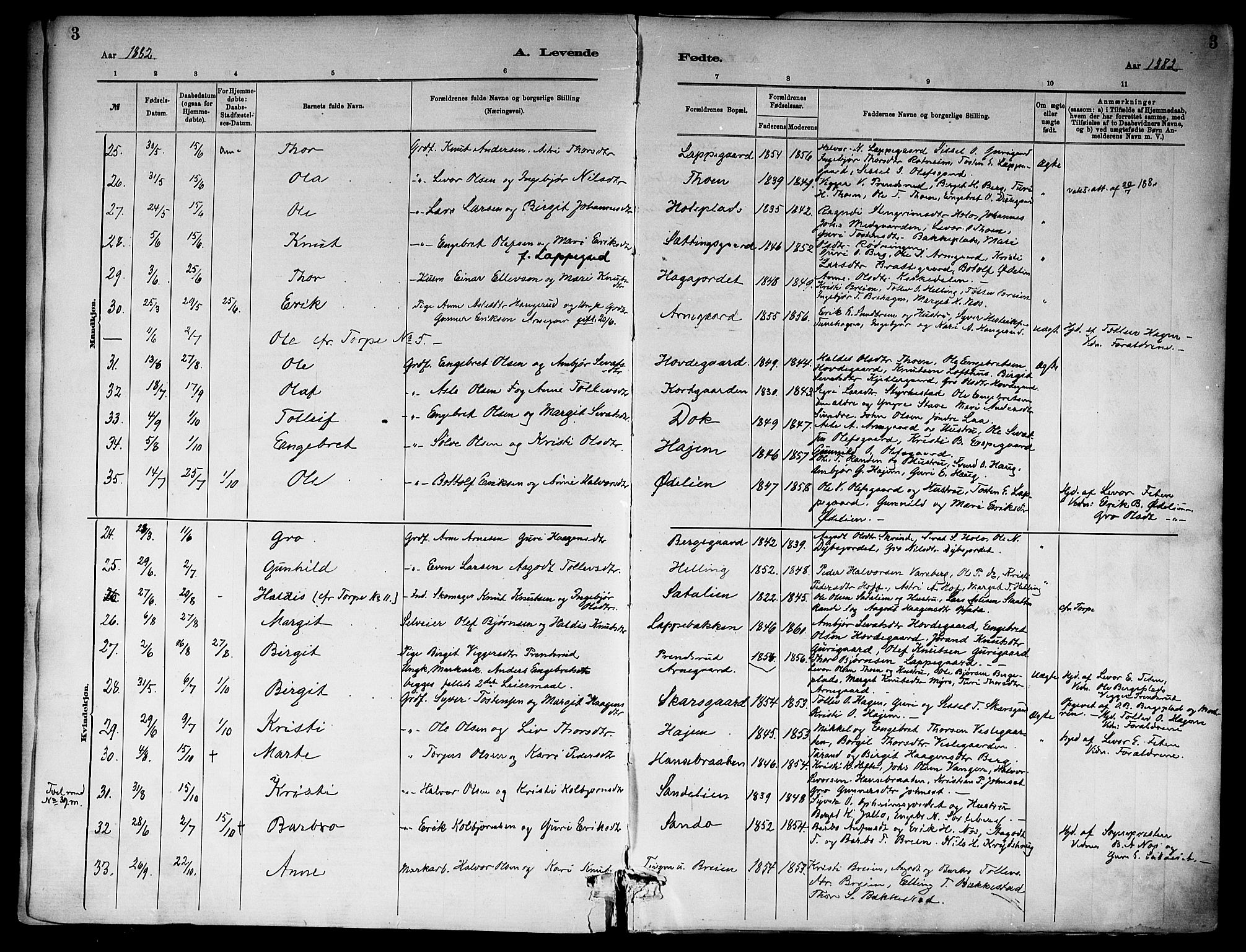 Ål kirkebøker, AV/SAKO-A-249/F/Fa/L0008: Parish register (official) no. I 8, 1882-1896, p. 3