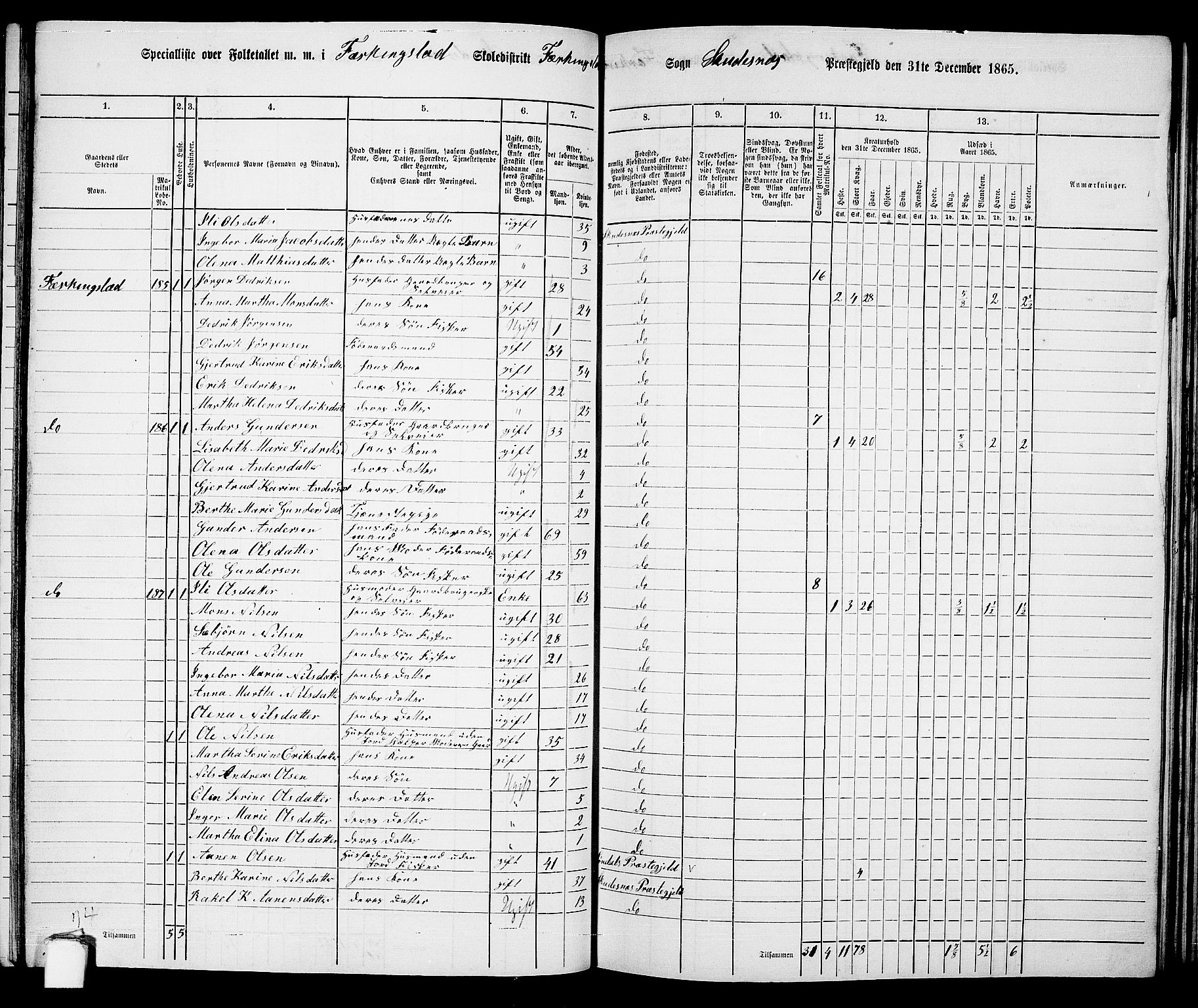 RA, 1865 census for Skudenes, 1865, p. 100