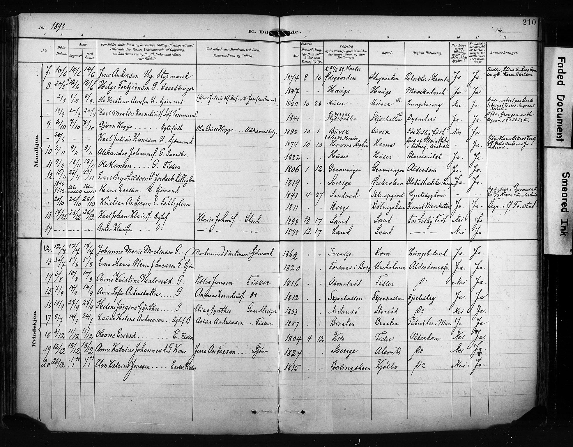 Hvaler prestekontor Kirkebøker, AV/SAO-A-2001/F/Fa/L0009: Parish register (official) no. I 9, 1895-1906, p. 210