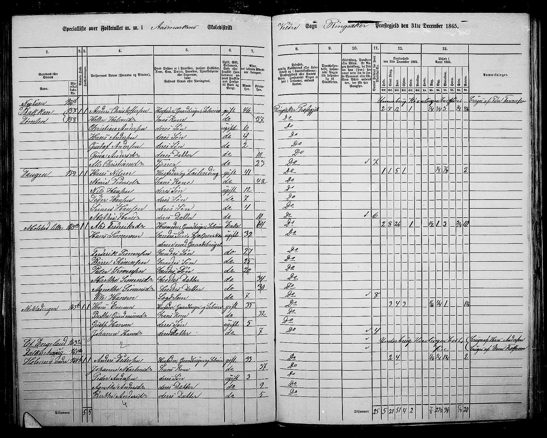 RA, 1865 census for Ringsaker, 1865, p. 216