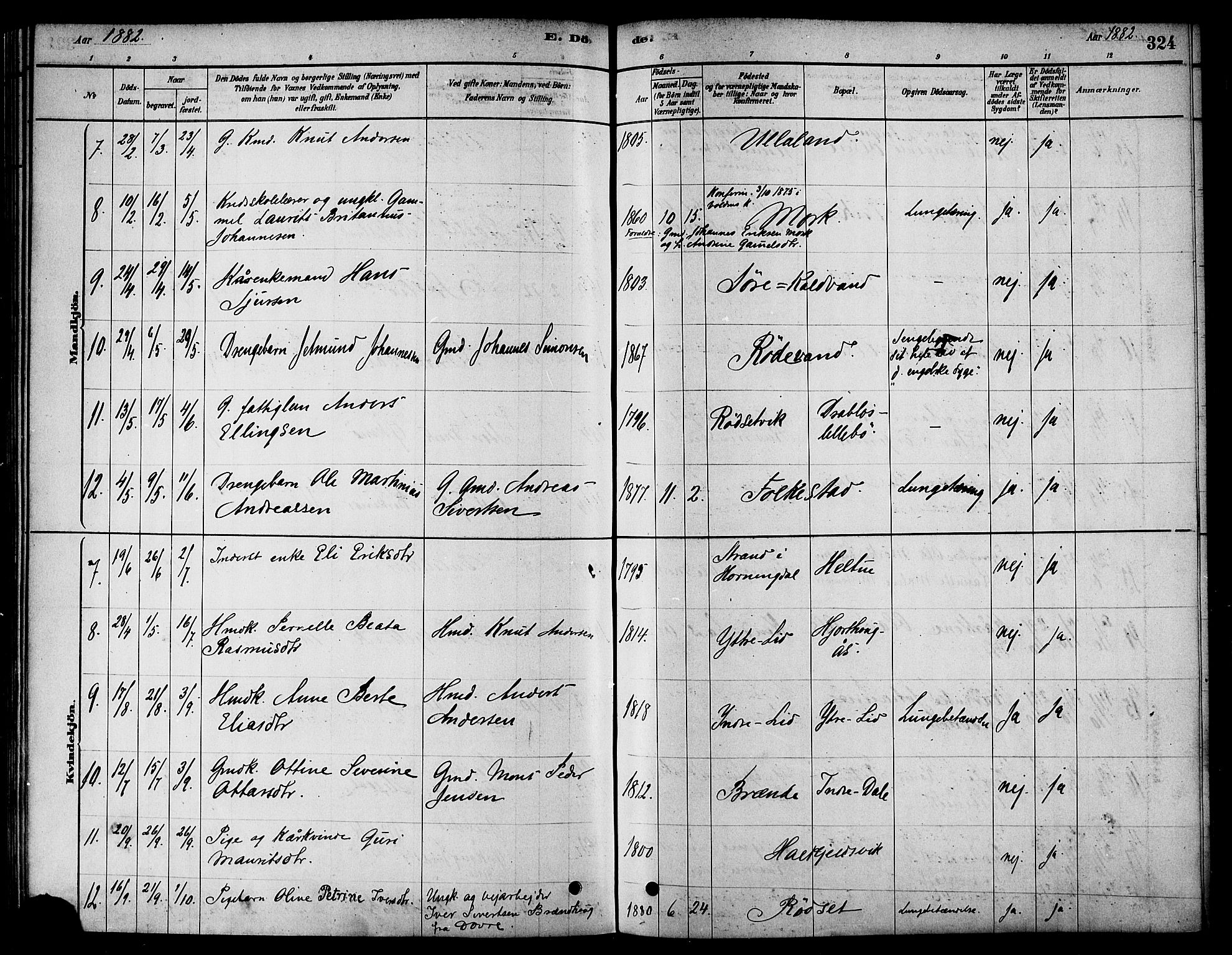 Ministerialprotokoller, klokkerbøker og fødselsregistre - Møre og Romsdal, AV/SAT-A-1454/511/L0141: Parish register (official) no. 511A08, 1878-1890, p. 324