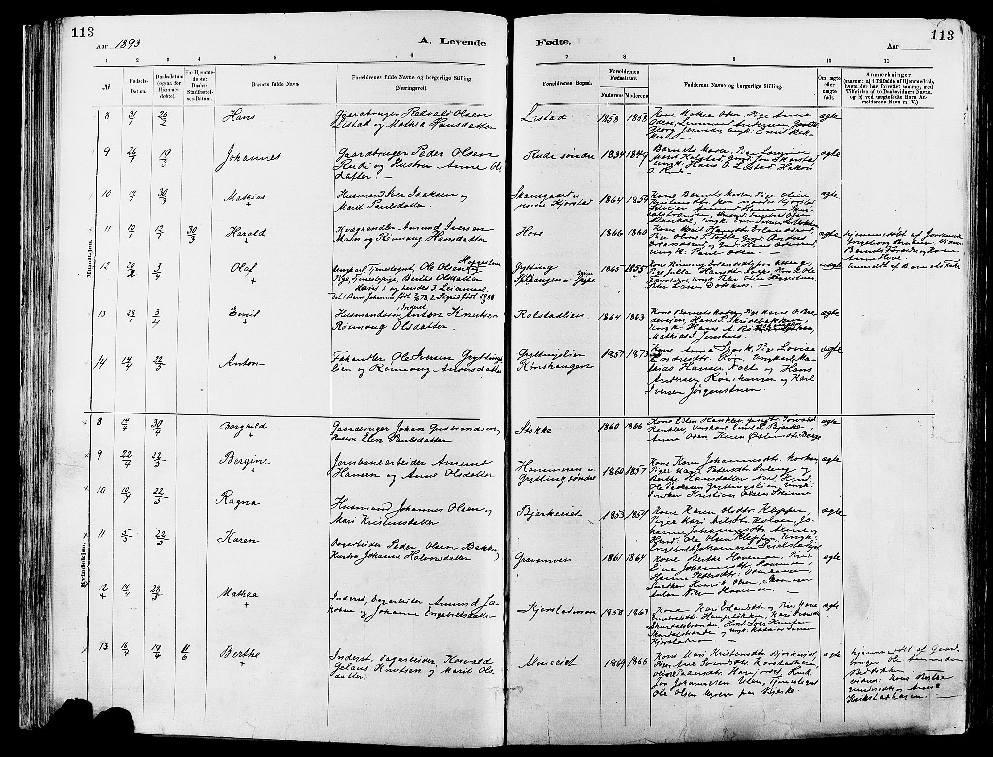 Sør-Fron prestekontor, AV/SAH-PREST-010/H/Ha/Haa/L0003: Parish register (official) no. 3, 1881-1897, p. 113