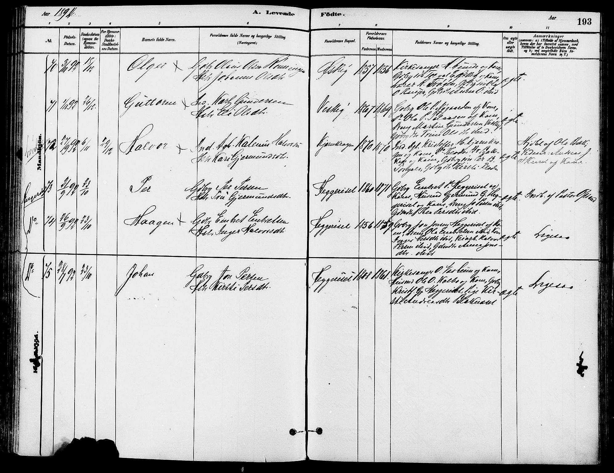 Trysil prestekontor, SAH/PREST-046/H/Ha/Haa/L0008: Parish register (official) no. 8, 1881-1897, p. 193