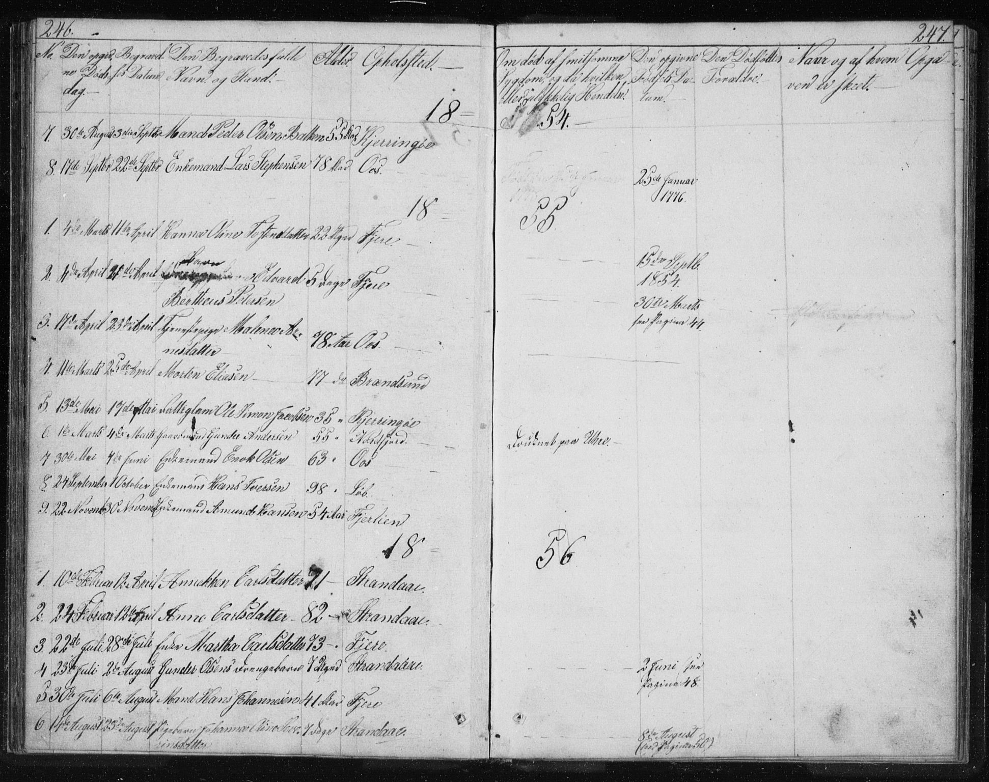 Ministerialprotokoller, klokkerbøker og fødselsregistre - Nordland, SAT/A-1459/803/L0074: Parish register (copy) no. 803C01, 1845-1866, p. 246-247