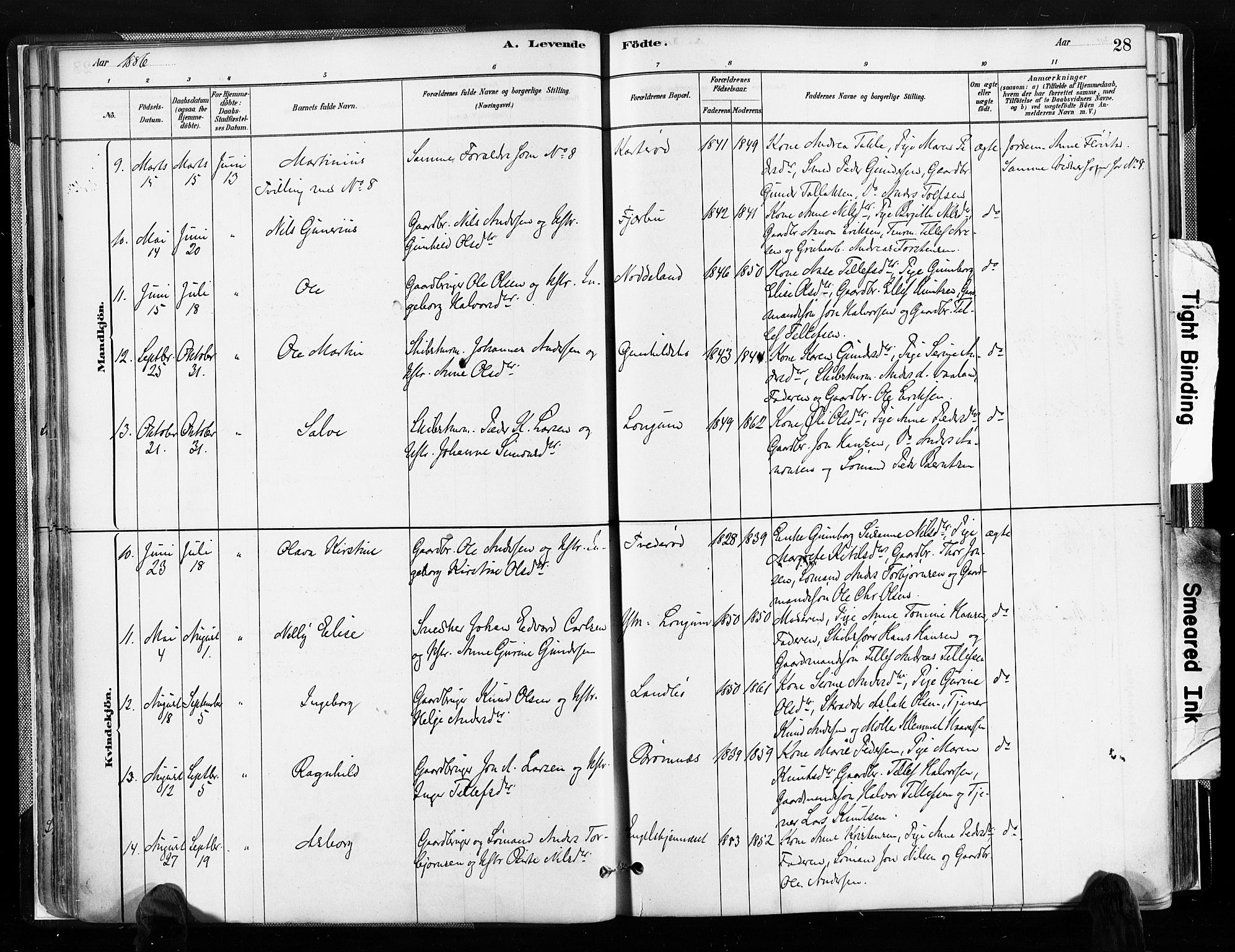 Austre Moland sokneprestkontor, AV/SAK-1111-0001/F/Fa/Faa/L0010: Parish register (official) no. A 10, 1880-1904, p. 28