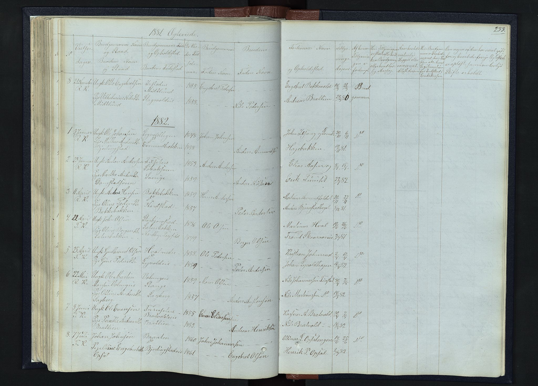 Romedal prestekontor, SAH/PREST-004/L/L0010: Parish register (copy) no. 10, 1860-1895, p. 233