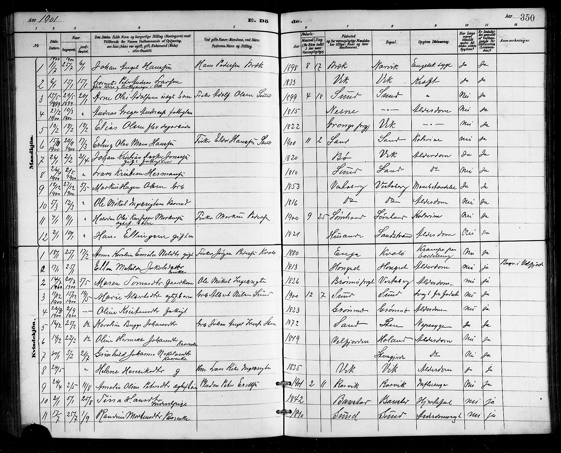 Ministerialprotokoller, klokkerbøker og fødselsregistre - Nordland, SAT/A-1459/812/L0188: Parish register (copy) no. 812C06, 1884-1912, p. 350
