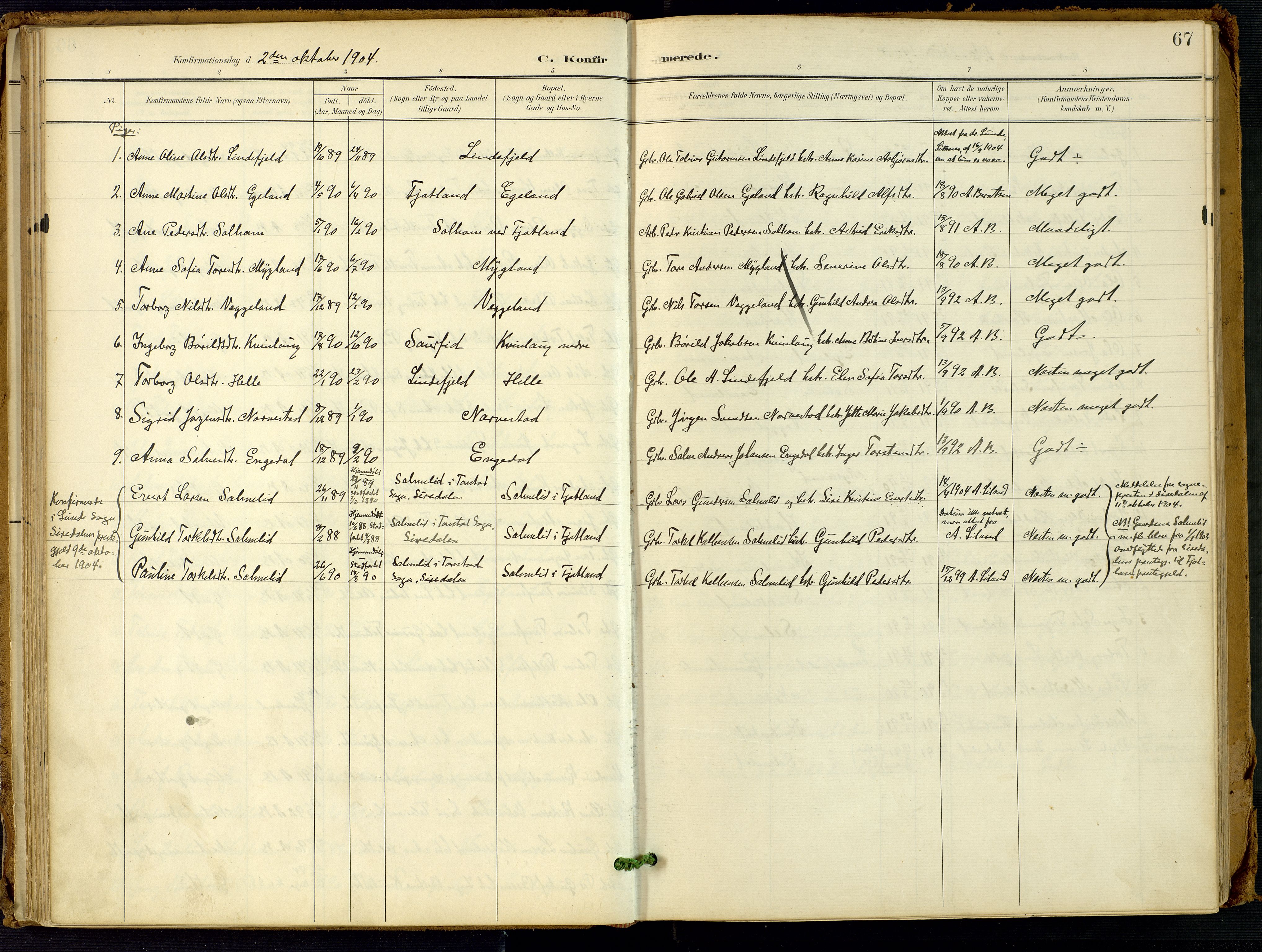 Fjotland sokneprestkontor, SAK/1111-0010/F/Fa/L0003: Parish register (official) no. A 3, 1899-1917, p. 67