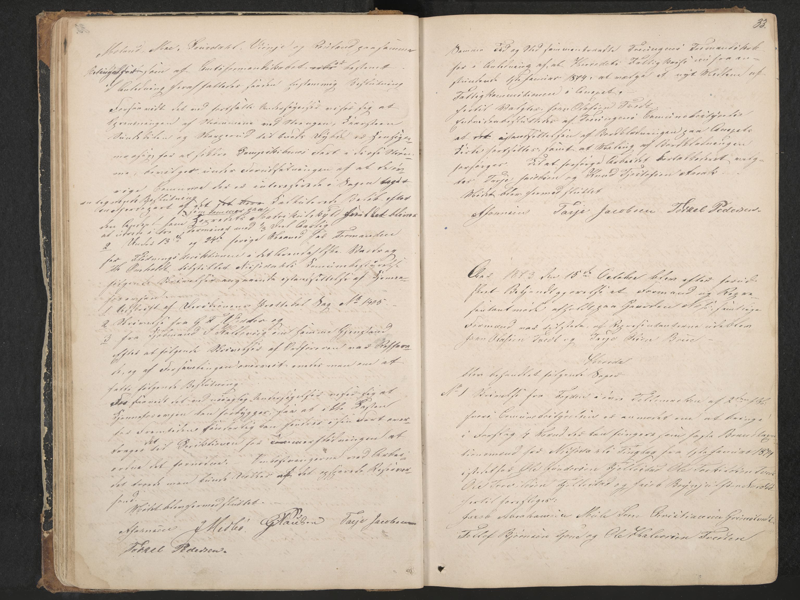 Nissedal formannskap og sentraladministrasjon, IKAK/0830021-1/A/L0002: Møtebok, 1870-1892, p. 33