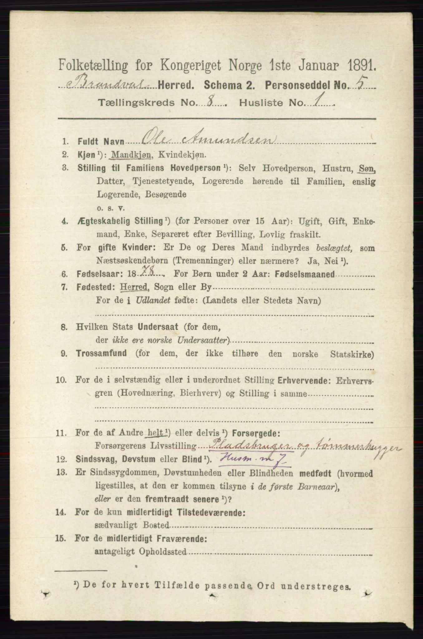 RA, 1891 census for 0422 Brandval, 1891, p. 3839