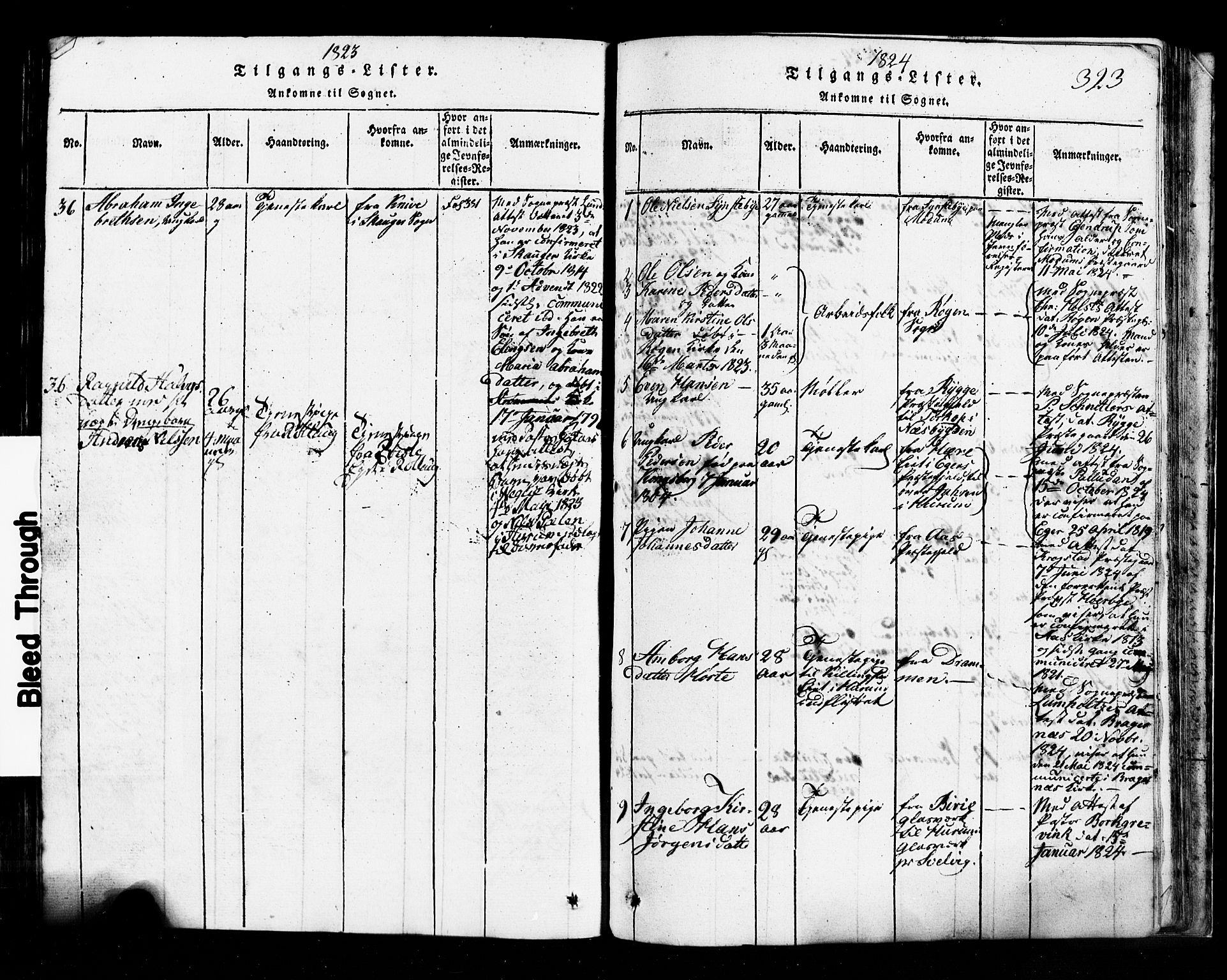 Hurum kirkebøker, SAKO/A-229/G/Ga/L0001: Parish register (copy) no. I 1, 1816-1826, p. 323