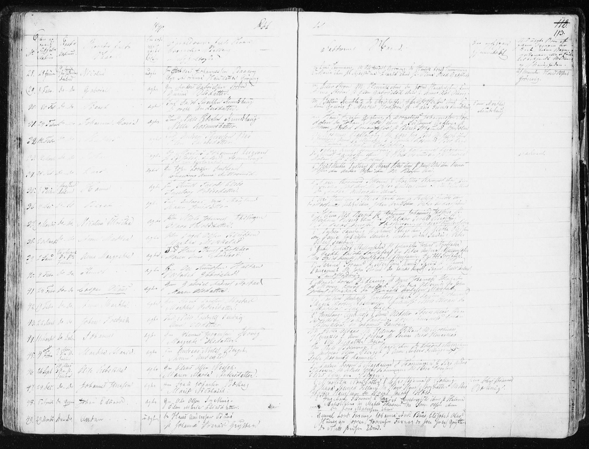 Ministerialprotokoller, klokkerbøker og fødselsregistre - Sør-Trøndelag, AV/SAT-A-1456/634/L0528: Parish register (official) no. 634A04, 1827-1842, p. 113