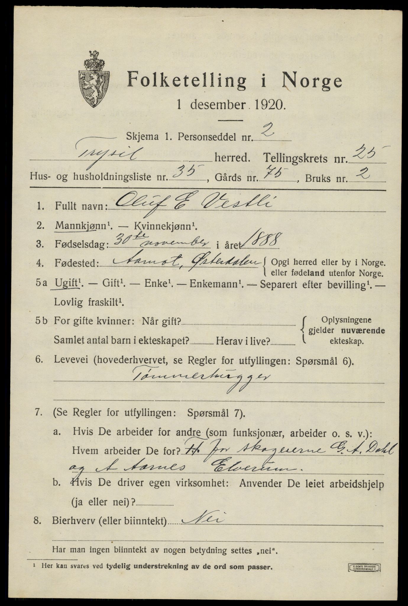 SAH, 1920 census for Trysil, 1920, p. 16105