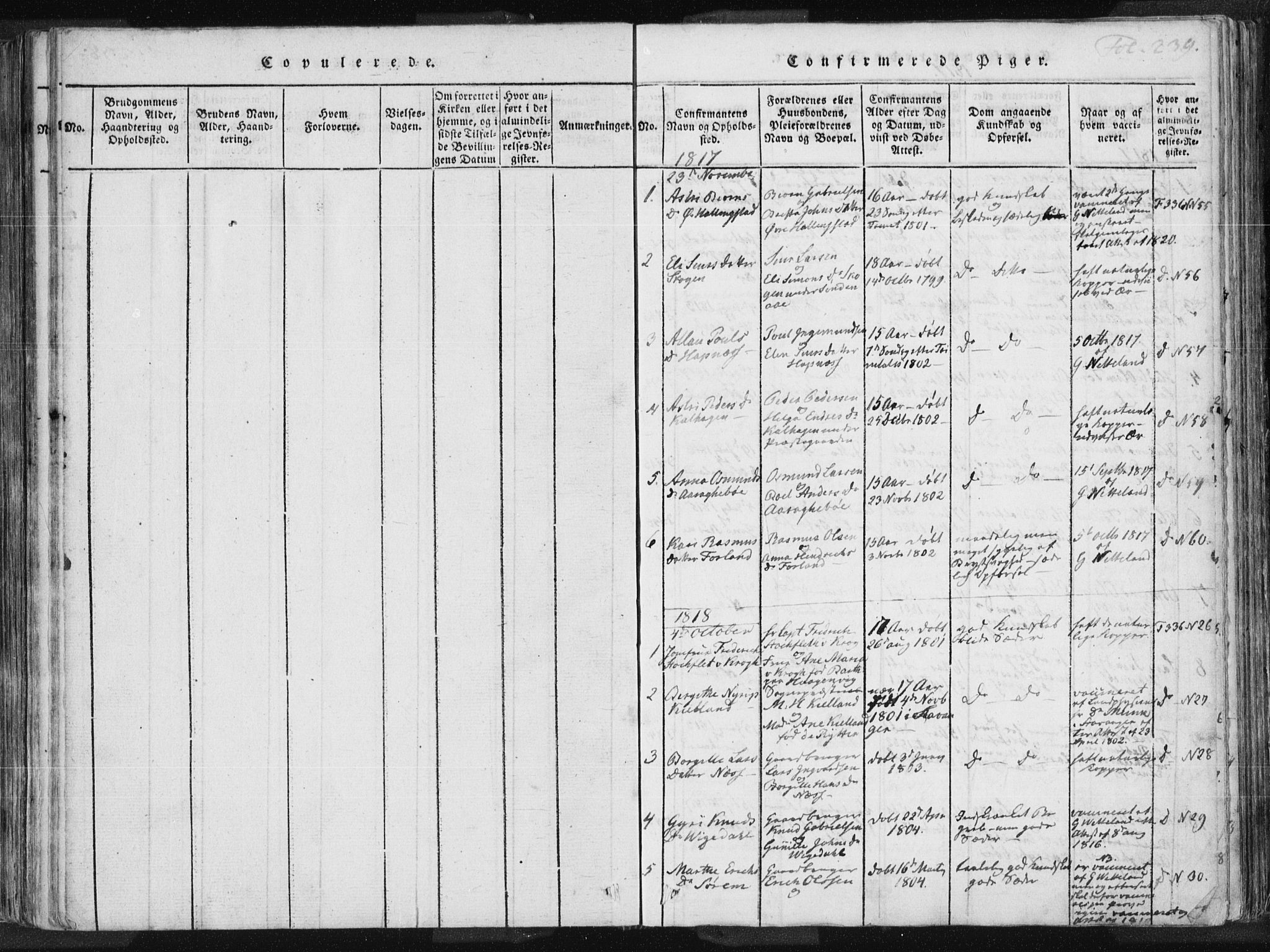 Vikedal sokneprestkontor, SAST/A-101840/01/IV: Parish register (official) no. A 3, 1817-1850, p. 239