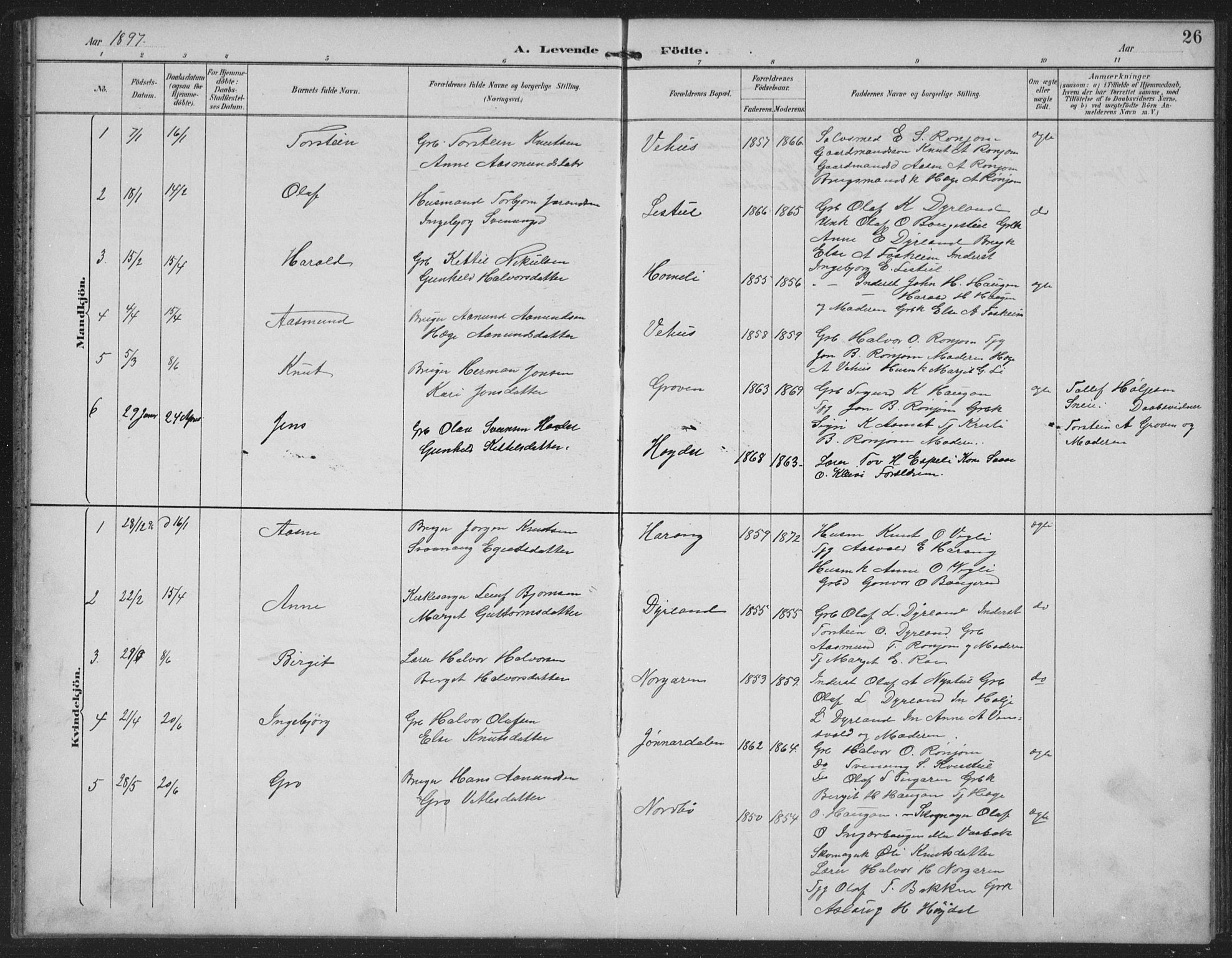Seljord kirkebøker, AV/SAKO-A-20/G/Gc/L0003: Parish register (copy) no. III 3, 1887-1926, p. 26