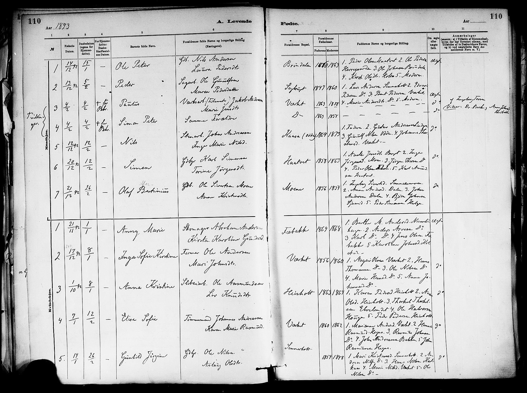 Holla kirkebøker, SAKO/A-272/F/Fa/L0008: Parish register (official) no. 8, 1882-1897, p. 110